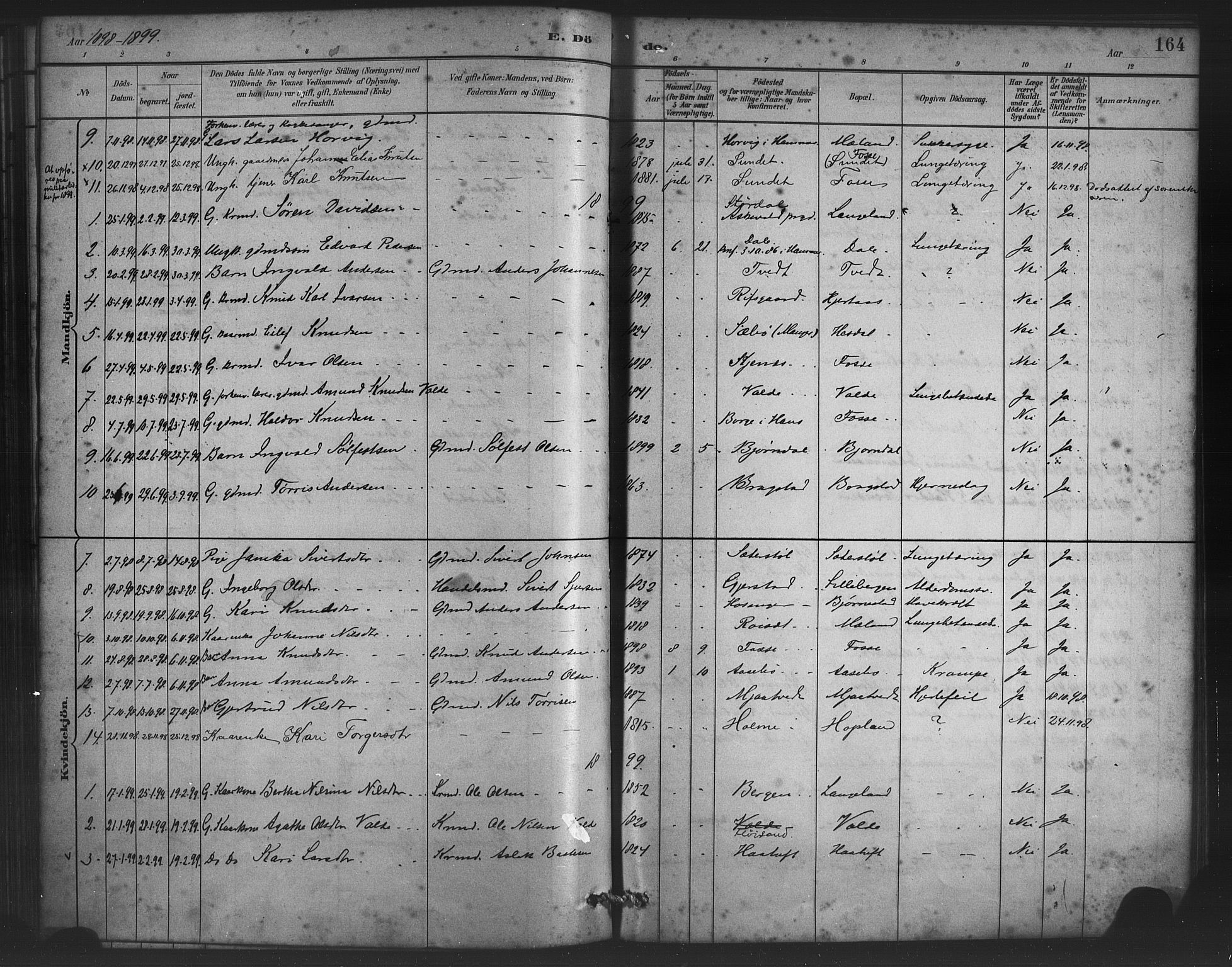 Alversund Sokneprestembete, SAB/A-73901/H/Ha/Haa/Haac/L0001: Parish register (official) no. C 1, 1882-1900, p. 164