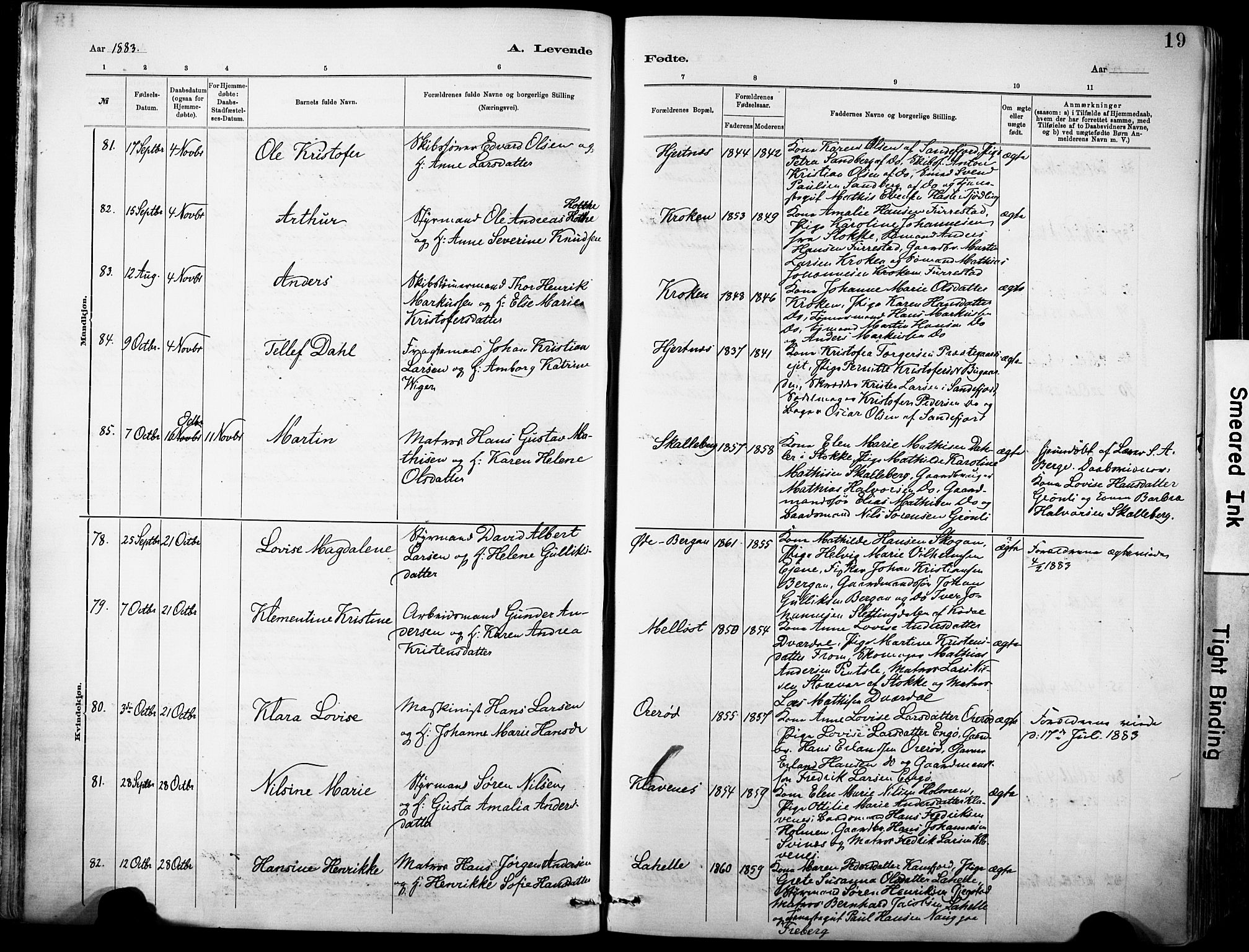 Sandar kirkebøker, SAKO/A-243/F/Fa/L0012: Parish register (official) no. 12, 1883-1895, p. 19