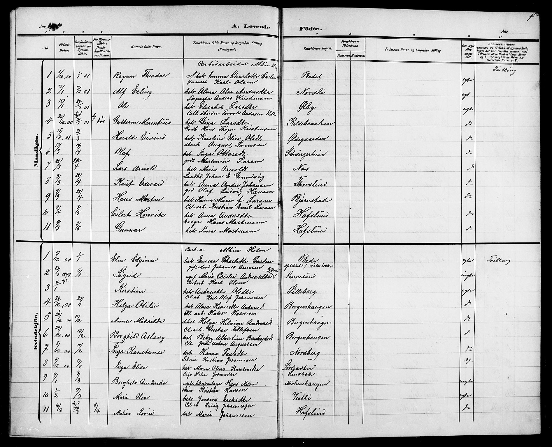 Skjeberg prestekontor Kirkebøker, AV/SAO-A-10923/G/Ga/L0002: Parish register (copy) no. I 2, 1901-1924, p. 4