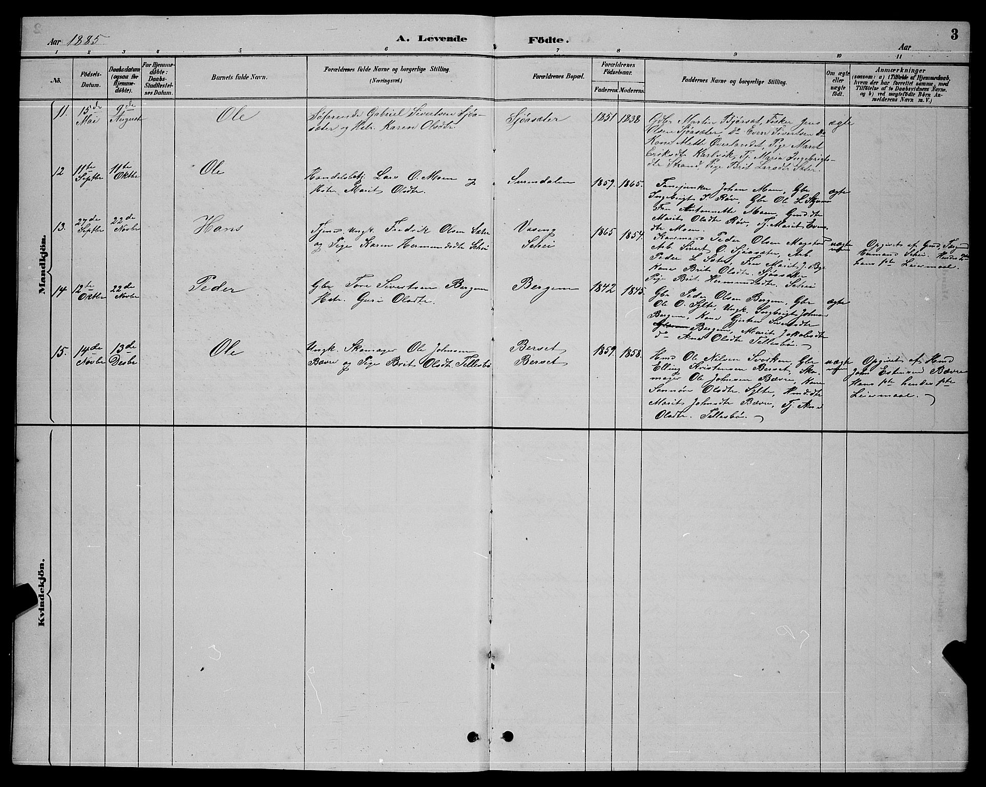 Ministerialprotokoller, klokkerbøker og fødselsregistre - Møre og Romsdal, AV/SAT-A-1454/595/L1052: Parish register (copy) no. 595C04, 1885-1900, p. 3