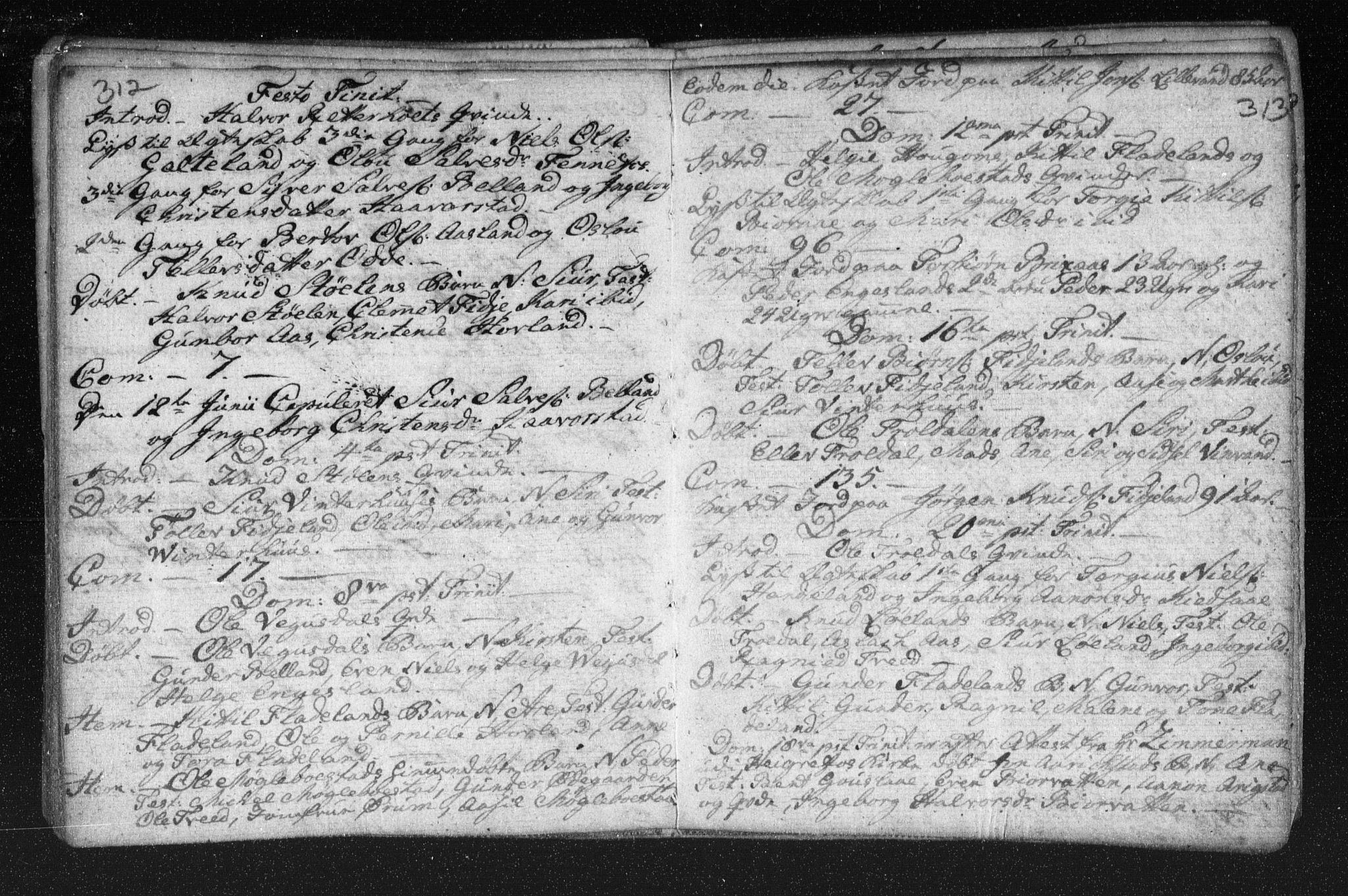 Herefoss sokneprestkontor, SAK/1111-0019/F/Fa/Fab/L0001: Parish register (official) no. A 1, 1704-1779, p. 312-313