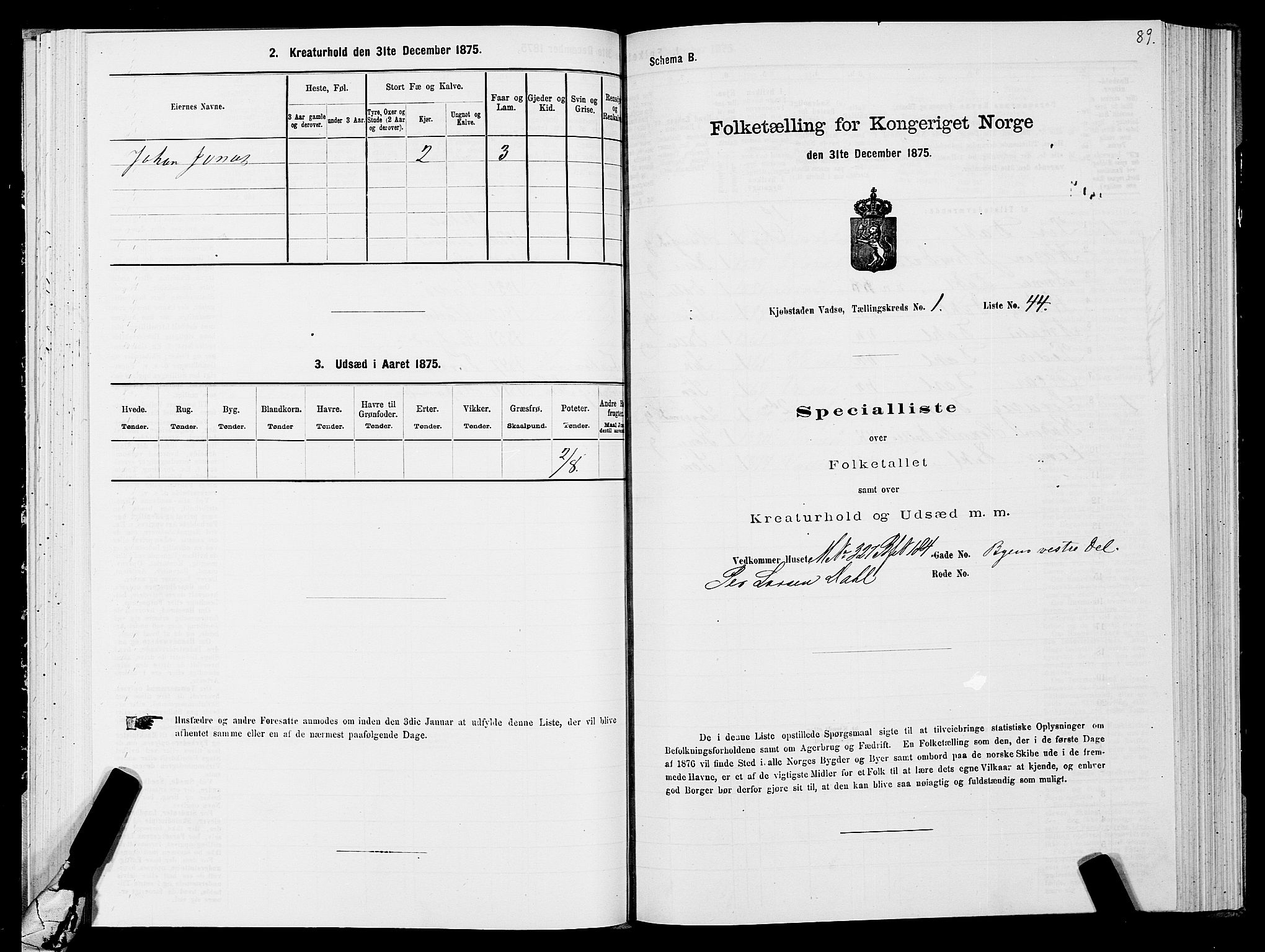 SATØ, 1875 census for 2003B Vadsø/Vadsø, 1875, p. 1089