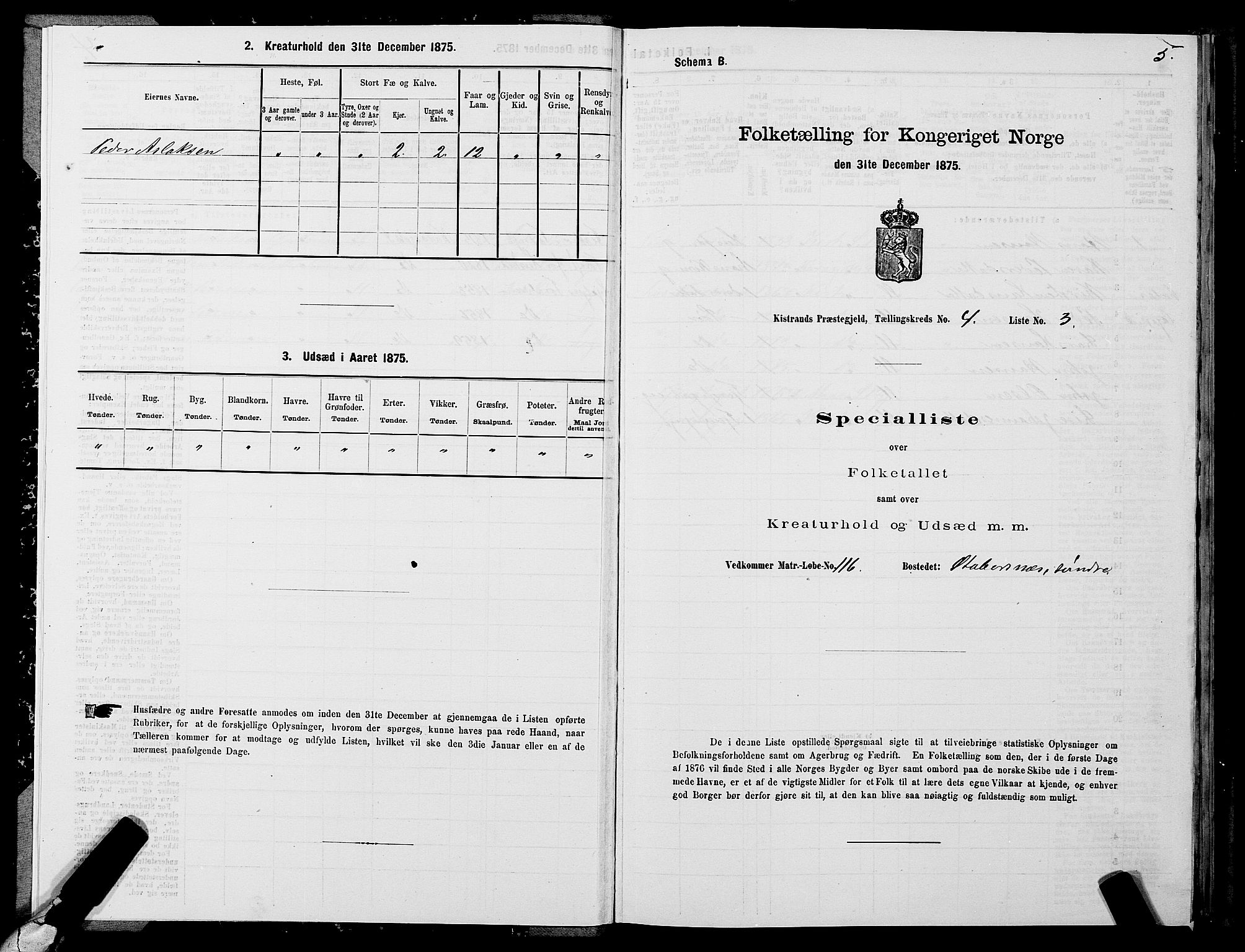 SATØ, 1875 census for 2020P Kistrand, 1875, p. 2005