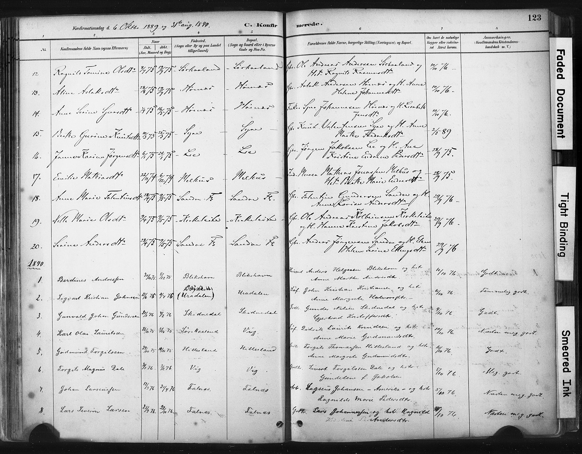 Skudenes sokneprestkontor, SAST/A -101849/H/Ha/Haa/L0009: Parish register (official) no. A 6, 1882-1912, p. 123