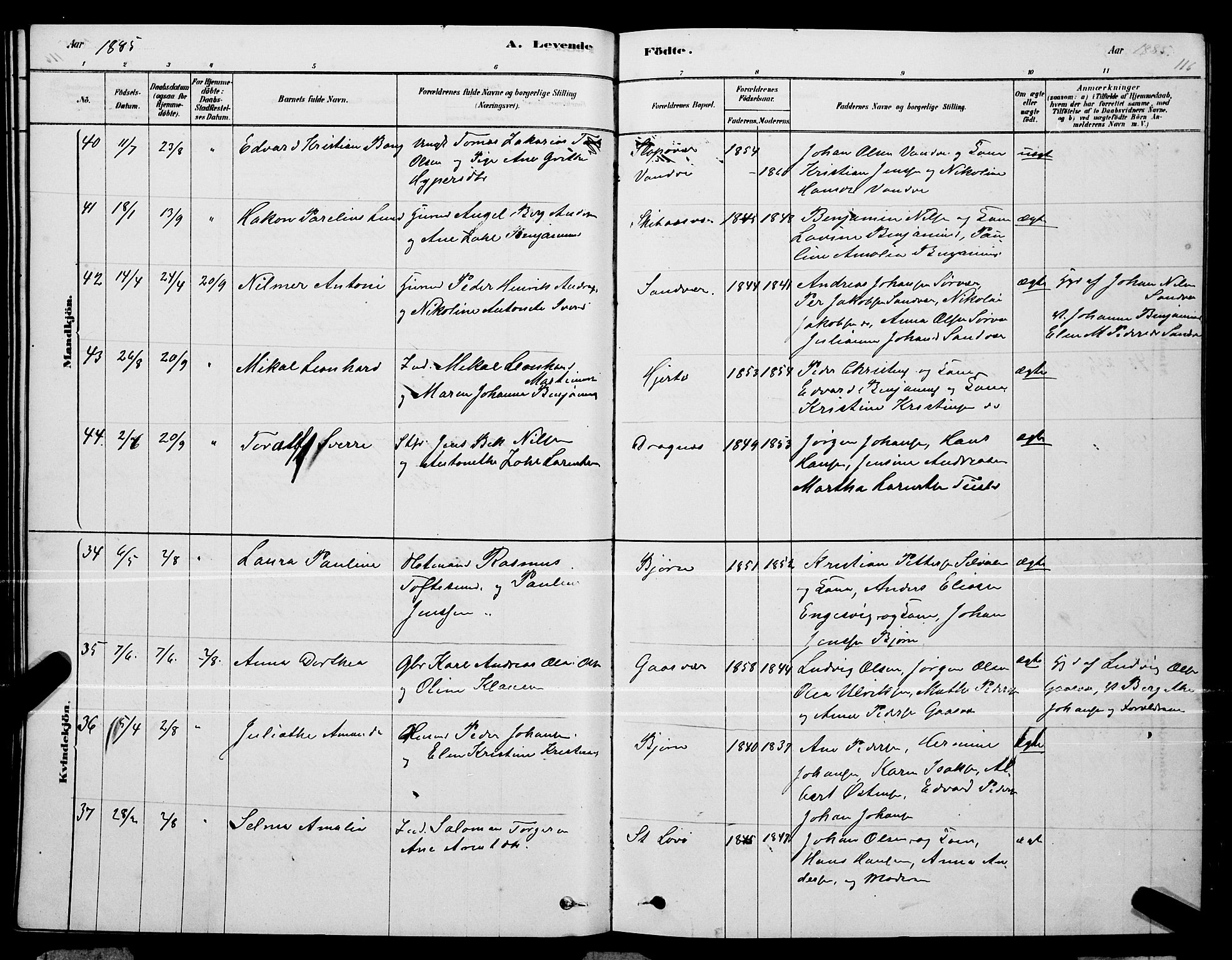 Ministerialprotokoller, klokkerbøker og fødselsregistre - Nordland, AV/SAT-A-1459/834/L0513: Parish register (copy) no. 834C04, 1877-1892, p. 116