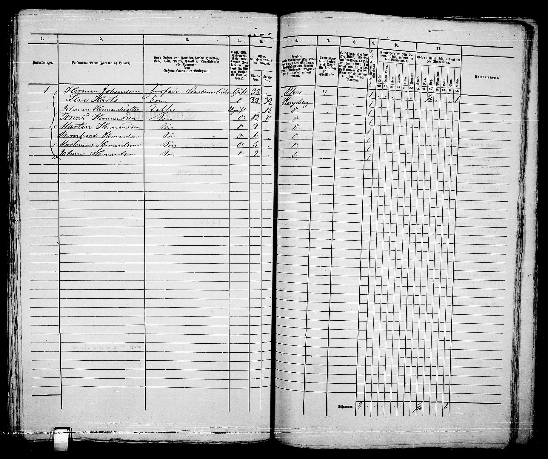 RA, 1865 census for Kongsberg/Kongsberg, 1865, p. 914