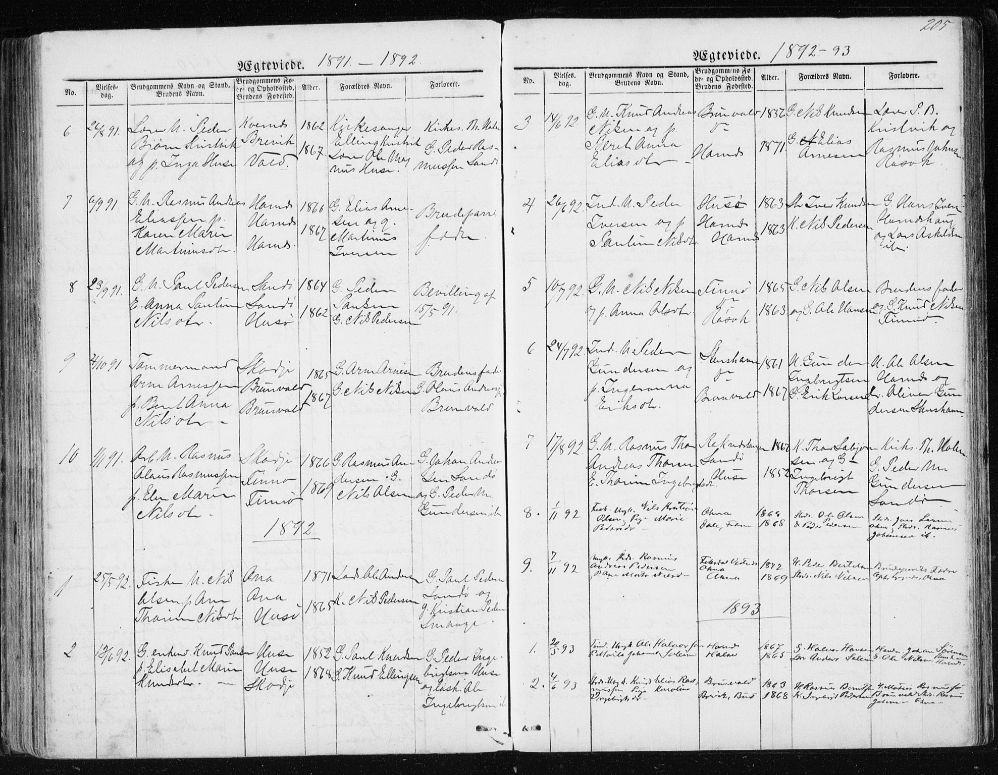 Ministerialprotokoller, klokkerbøker og fødselsregistre - Møre og Romsdal, AV/SAT-A-1454/561/L0732: Parish register (copy) no. 561C02, 1867-1900, p. 205