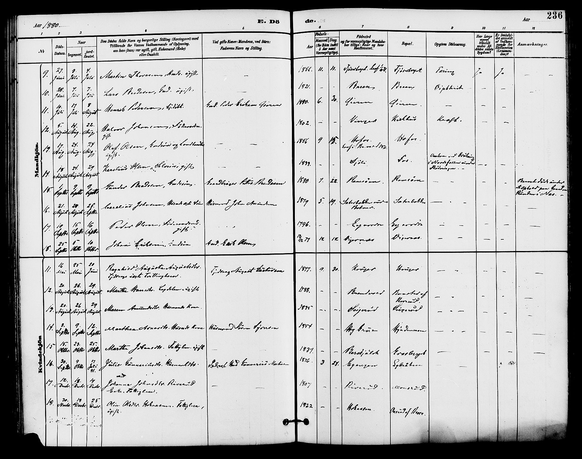 Brandval prestekontor, AV/SAH-PREST-034/H/Ha/Haa/L0002: Parish register (official) no. 2, 1880-1894, p. 236