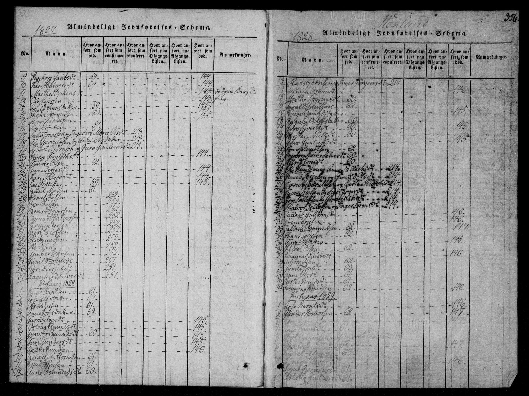 Åmli sokneprestkontor, AV/SAK-1111-0050/F/Fa/Fac/L0006: Parish register (official) no. A 6, 1816-1829, p. 356