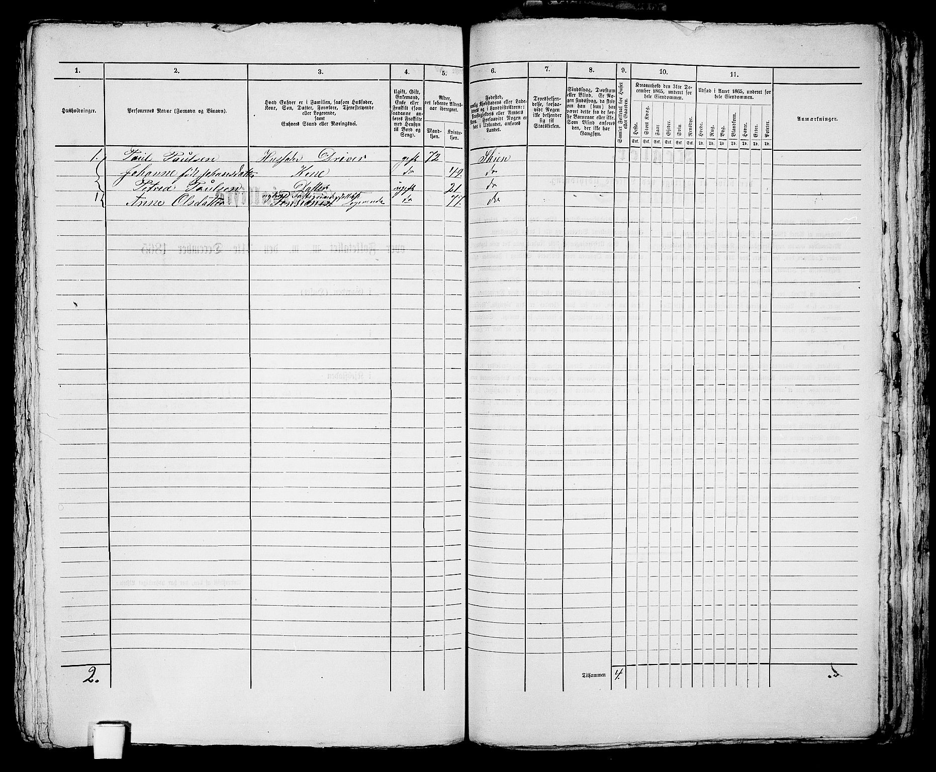 RA, 1865 census for Skien, 1865, p. 1195