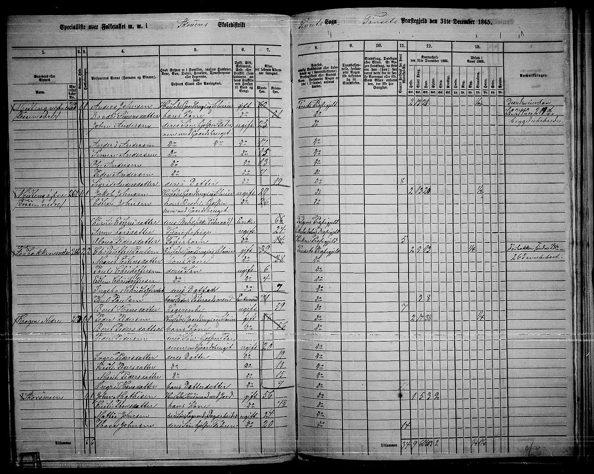 RA, 1865 census for Tynset, 1865, p. 109