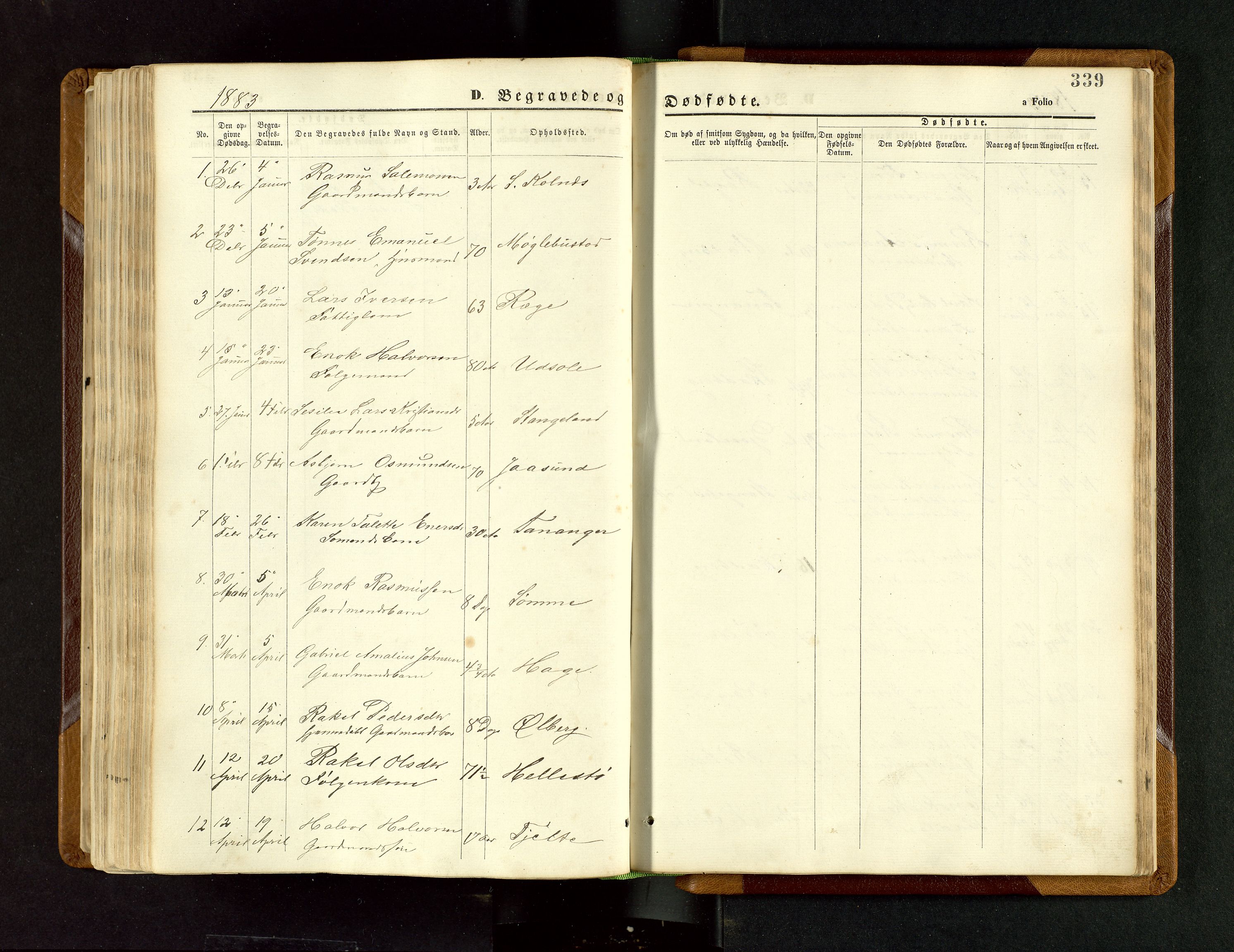 Håland sokneprestkontor, AV/SAST-A-101802/001/30BB/L0003: Parish register (copy) no. B 3, 1873-1893, p. 339