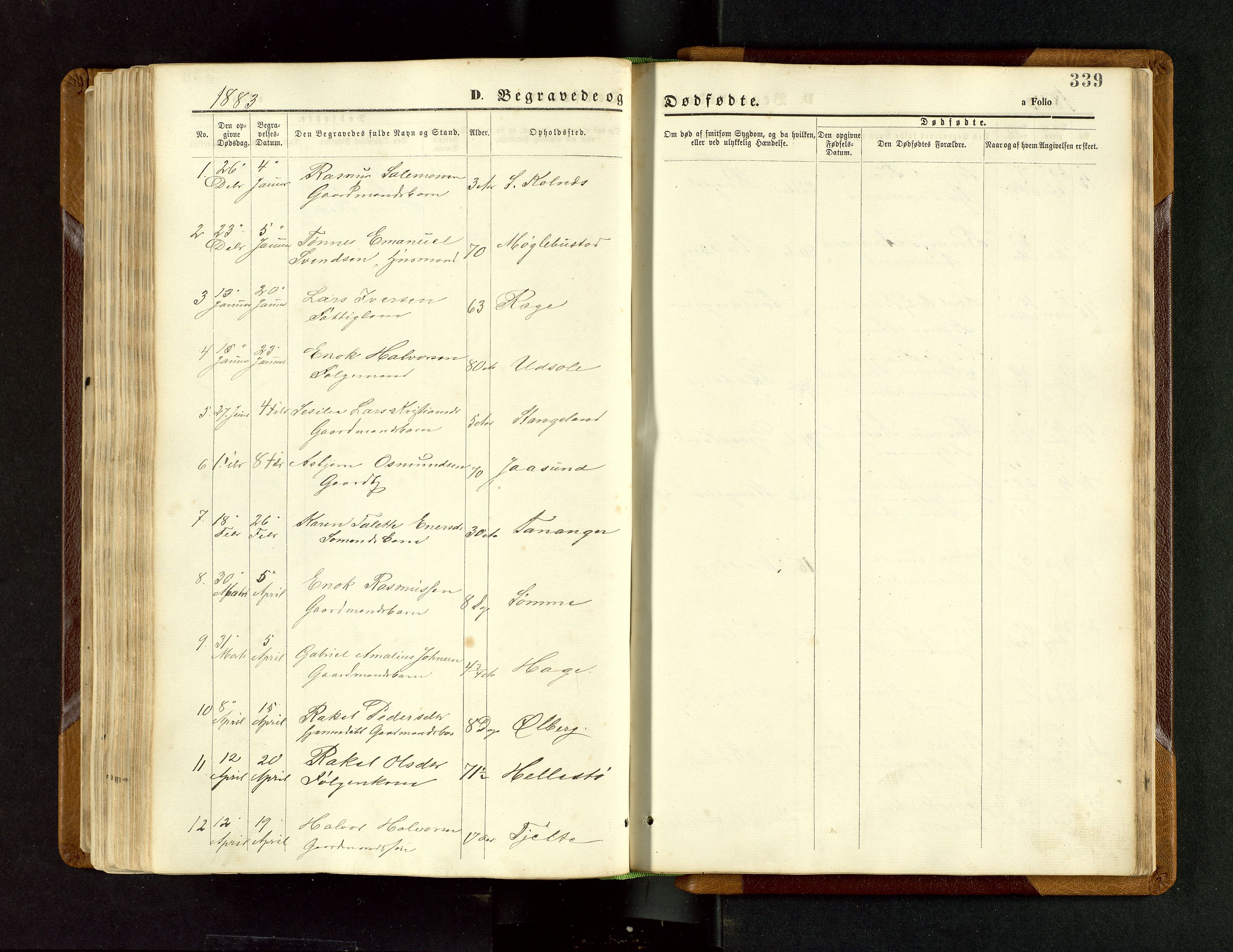 Håland sokneprestkontor, SAST/A-101802/001/30BB/L0003: Parish register (copy) no. B 3, 1873-1893, p. 339