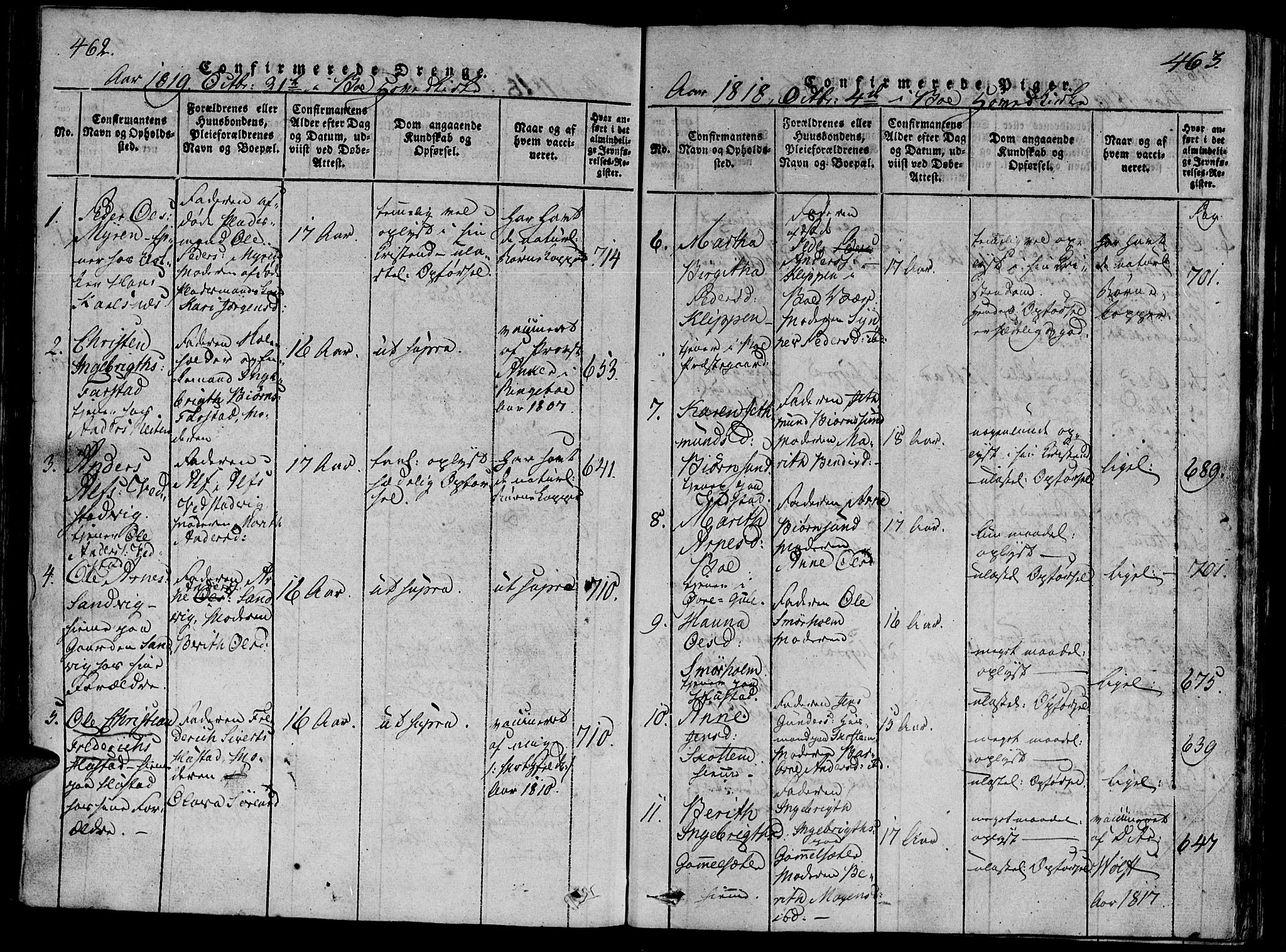 Ministerialprotokoller, klokkerbøker og fødselsregistre - Møre og Romsdal, AV/SAT-A-1454/566/L0763: Parish register (official) no. 566A03 /1, 1817-1829, p. 462-463