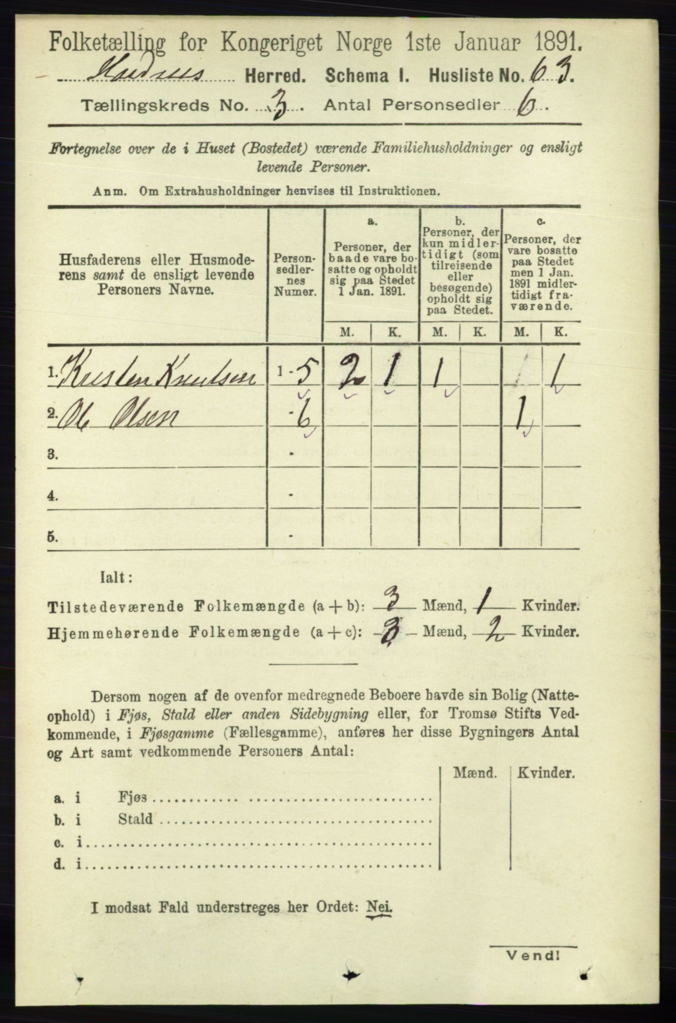 RA, 1891 census for 0936 Hornnes, 1891, p. 539