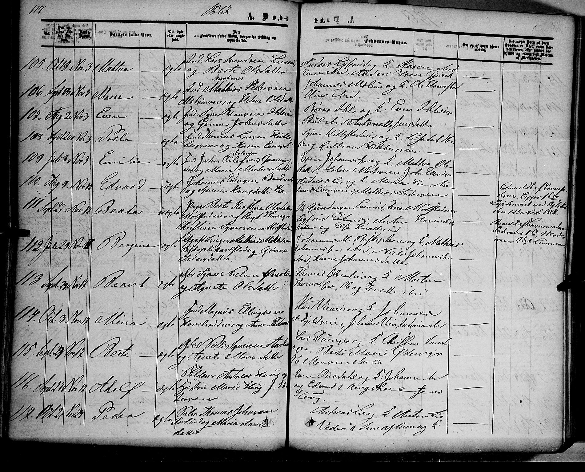 Nes prestekontor, Hedmark, AV/SAH-PREST-020/K/Ka/L0004: Parish register (official) no. 4, 1852-1886, p. 117