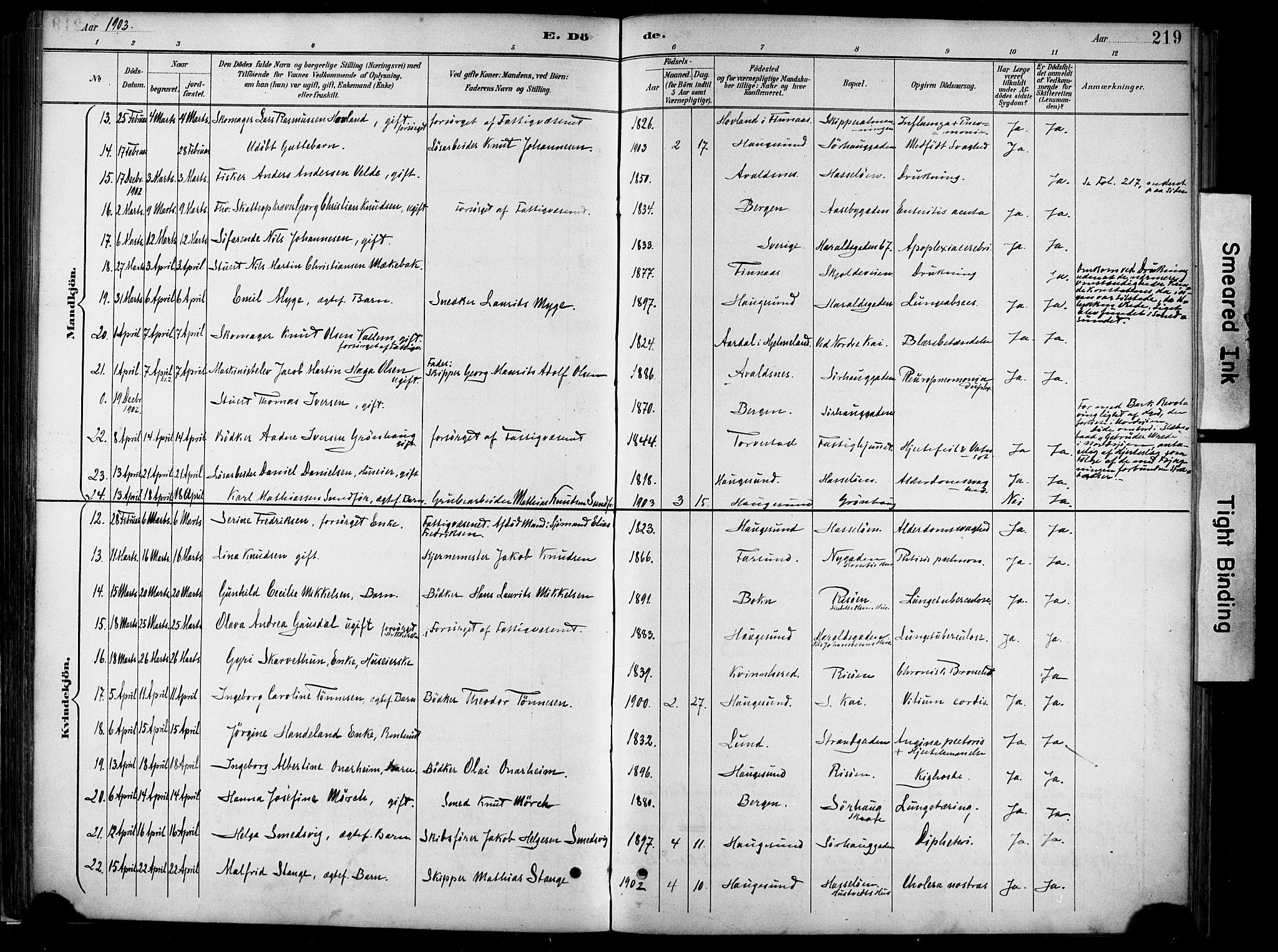 Haugesund sokneprestkontor, AV/SAST-A -101863/H/Ha/Haa/L0005: Parish register (official) no. A 5, 1891-1903, p. 219