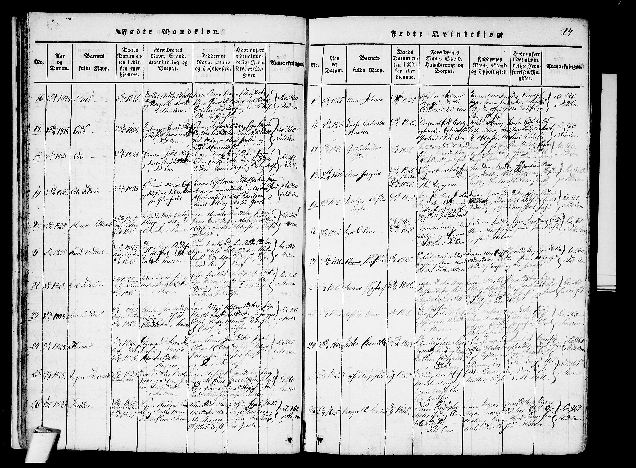 Stavern kirkebøker, AV/SAKO-A-318/F/Fa/L0006: Parish register (official) no. 6, 1816-1839, p. 24