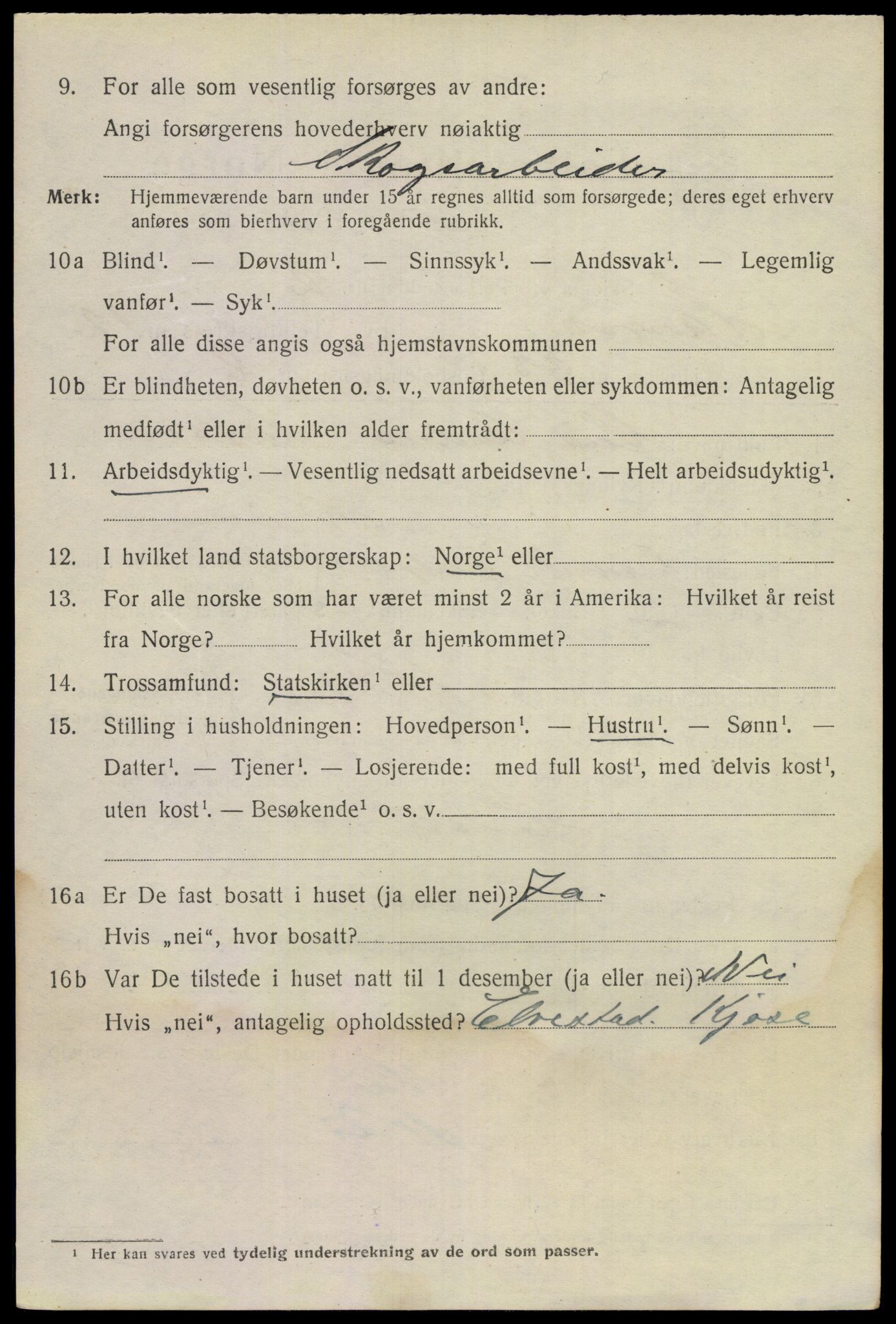 SAKO, 1920 census for Larvik, 1920, p. 31019