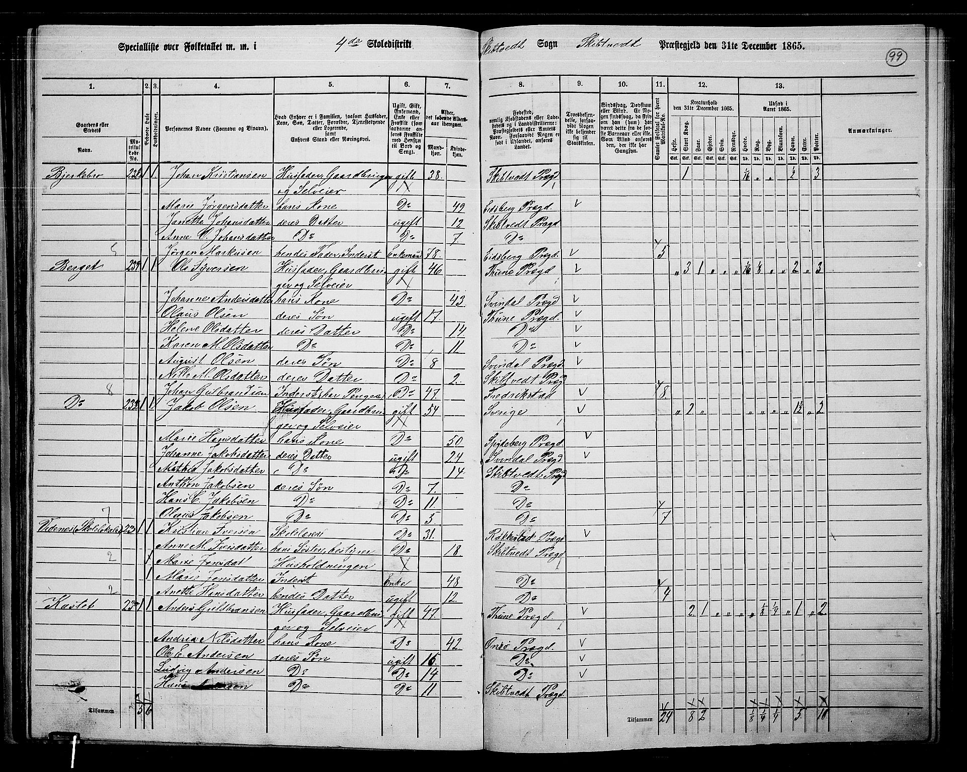 RA, 1865 census for Skiptvet, 1865, p. 89