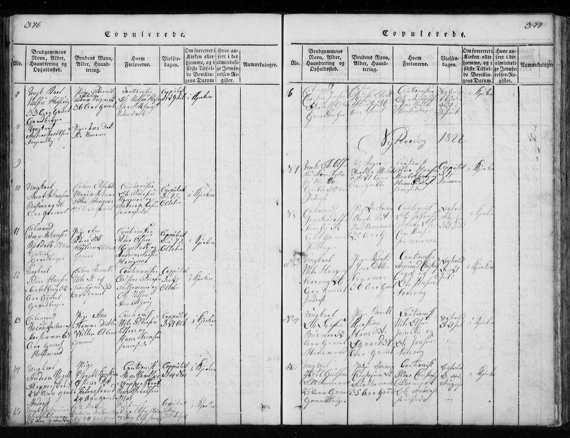 Ministerialprotokoller, klokkerbøker og fødselsregistre - Nordland, SAT/A-1459/827/L0412: Parish register (copy) no. 827C01, 1820-1841, p. 376-377