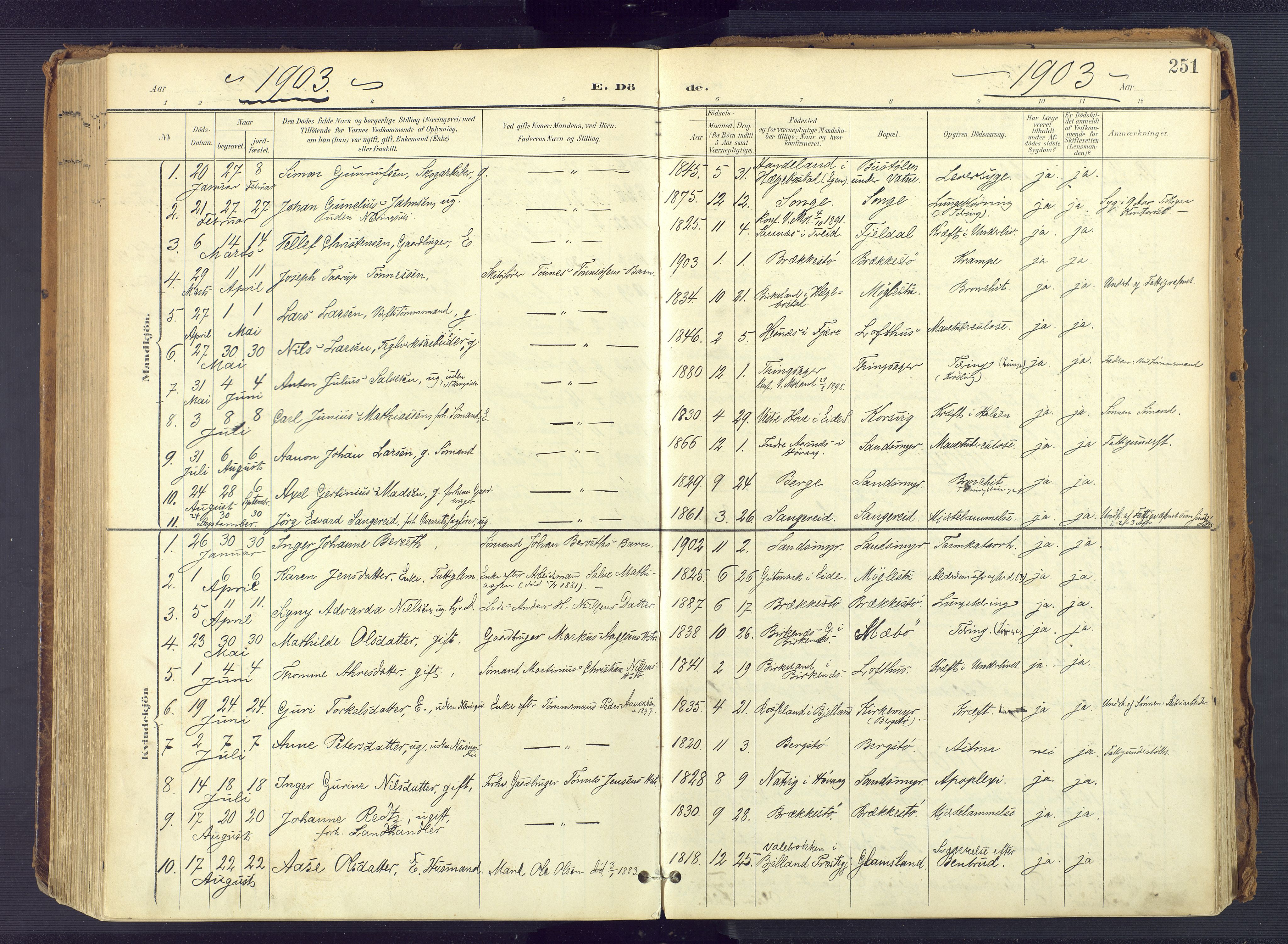 Vestre Moland sokneprestkontor, SAK/1111-0046/F/Fa/Fab/L0010: Parish register (official) no. A 10, 1900-1926, p. 251