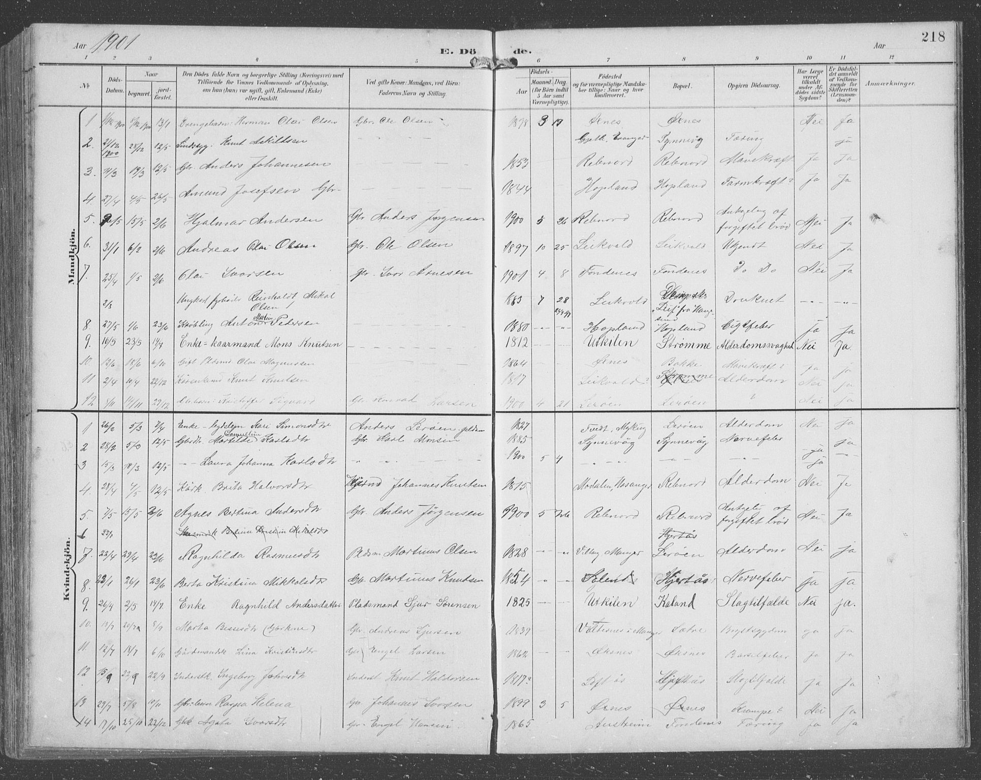 Lindås Sokneprestembete, AV/SAB-A-76701/H/Hab/Habc/L0004: Parish register (copy) no. C 4, 1894-1910, p. 218