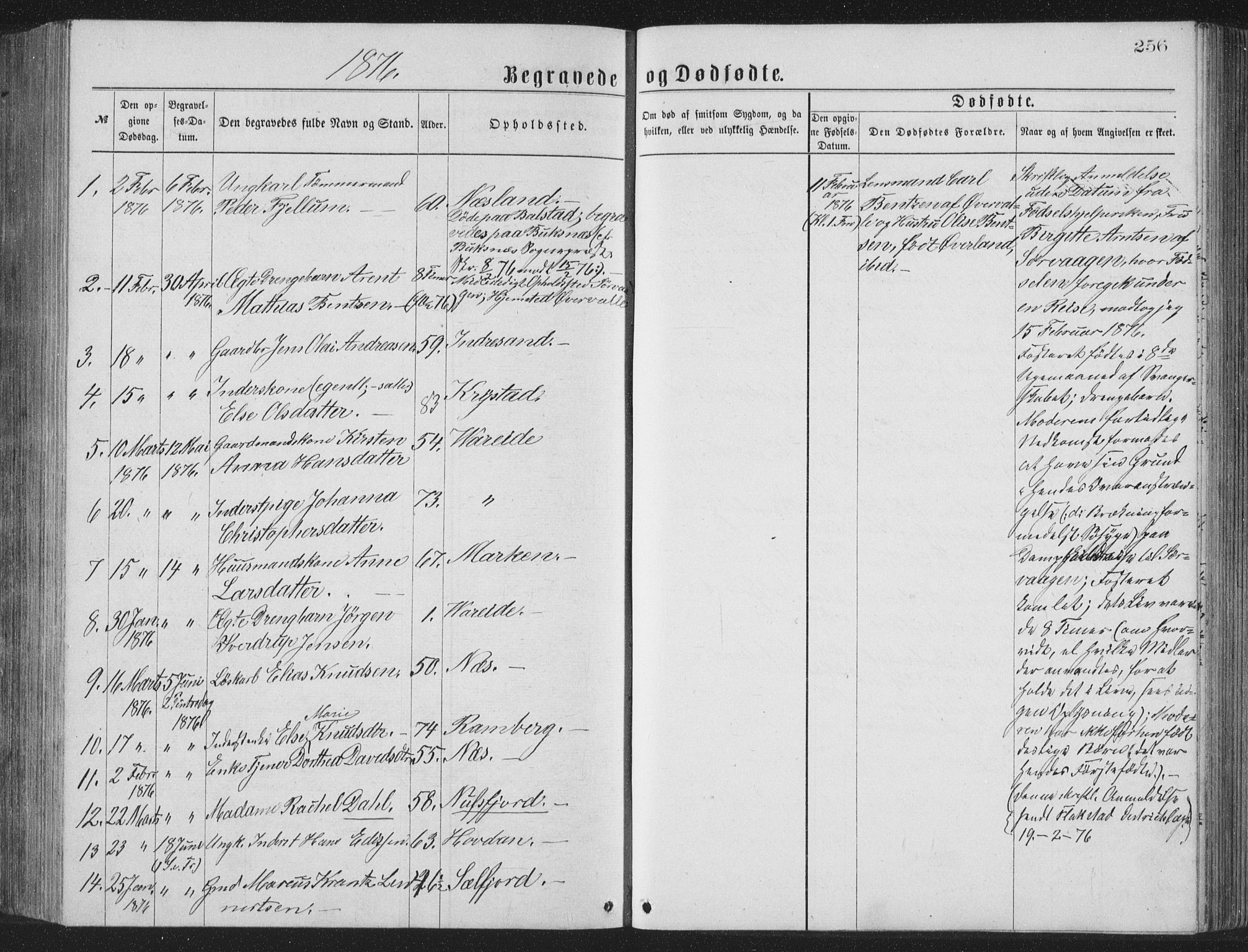 Ministerialprotokoller, klokkerbøker og fødselsregistre - Nordland, SAT/A-1459/885/L1213: Parish register (copy) no. 885C02, 1874-1892, p. 256
