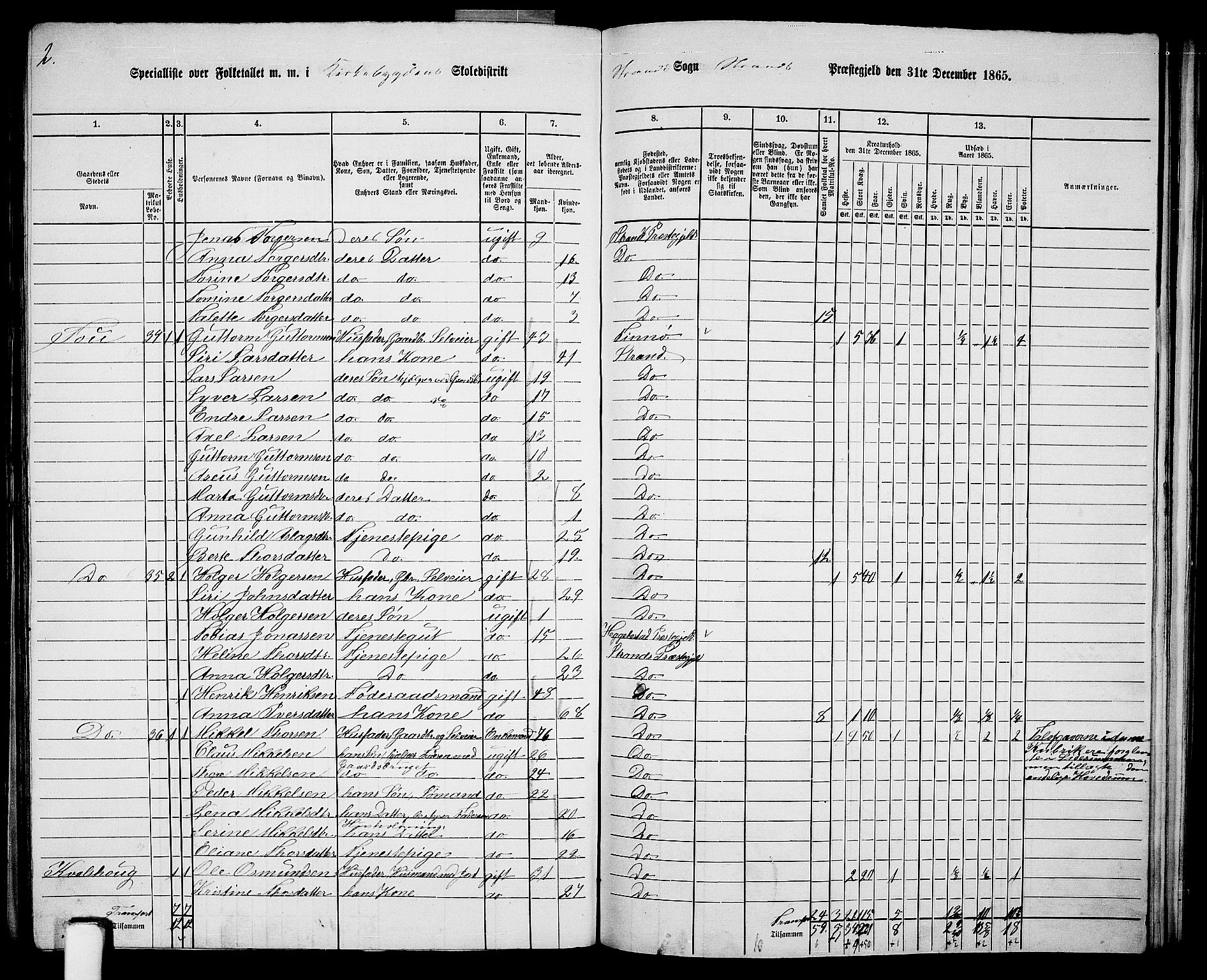 RA, 1865 census for Strand, 1865, p. 41