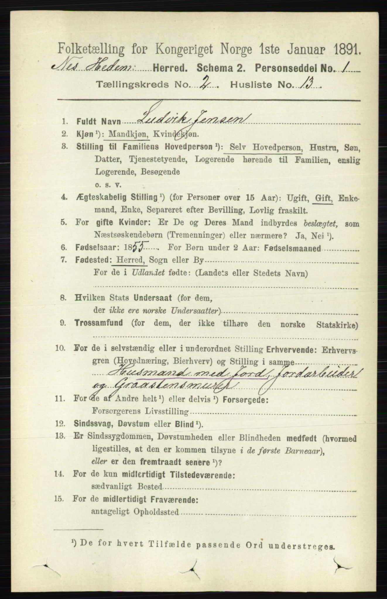 RA, 1891 census for 0411 Nes, 1891, p. 1145