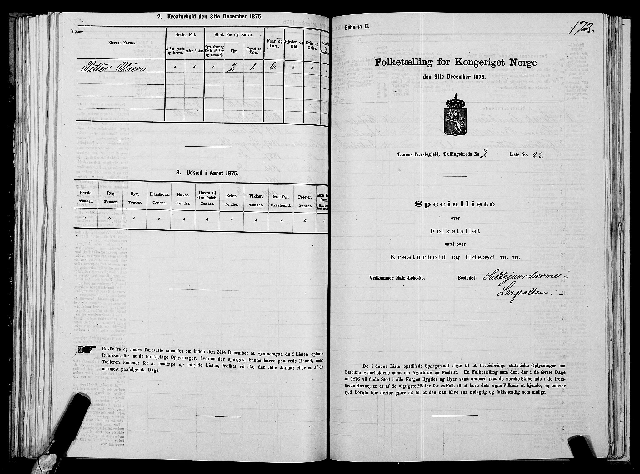 SATØ, 1875 census for 2025P Tana, 1875, p. 1172