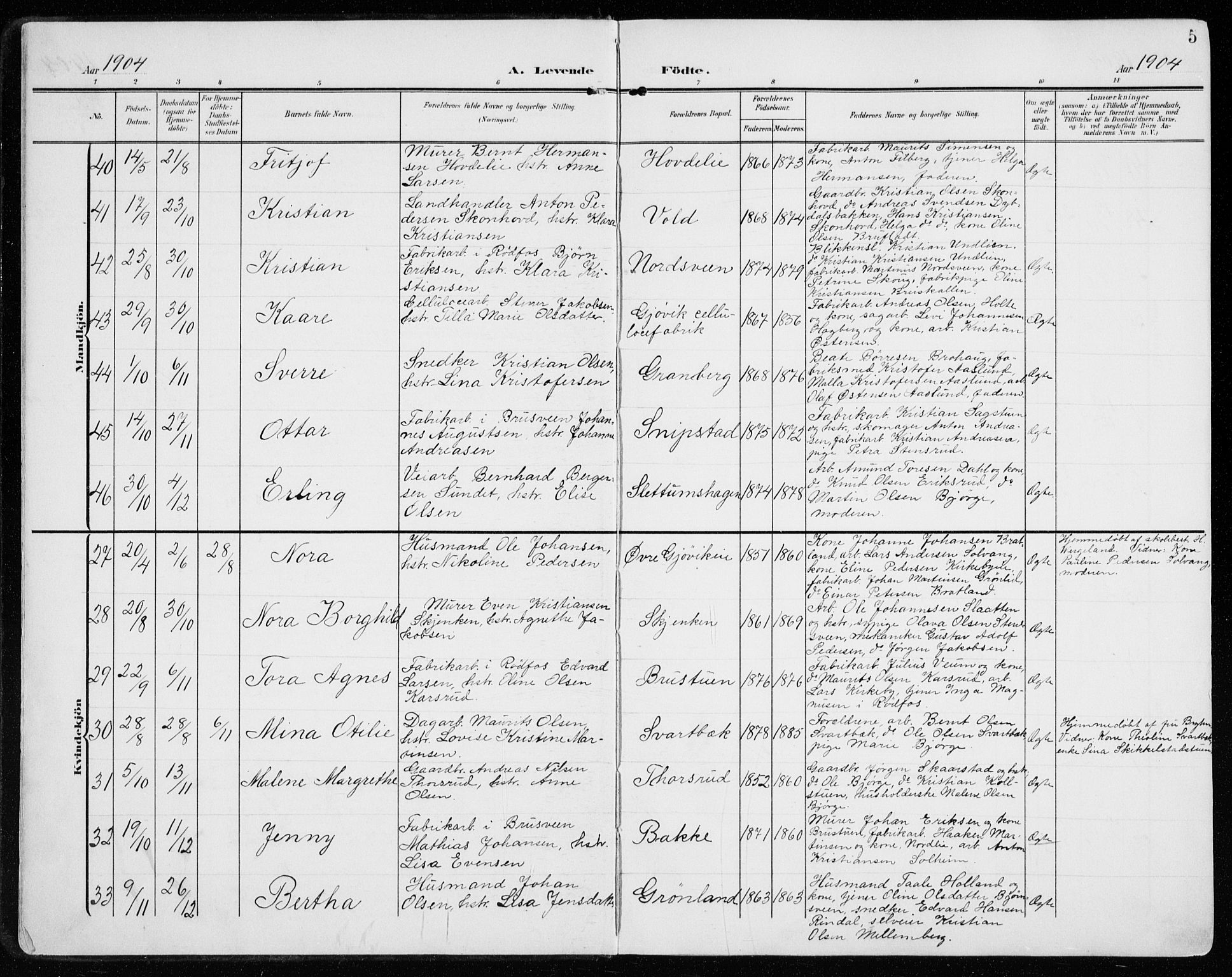 Vardal prestekontor, SAH/PREST-100/H/Ha/Haa/L0016: Parish register (official) no. 16, 1904-1916, p. 5