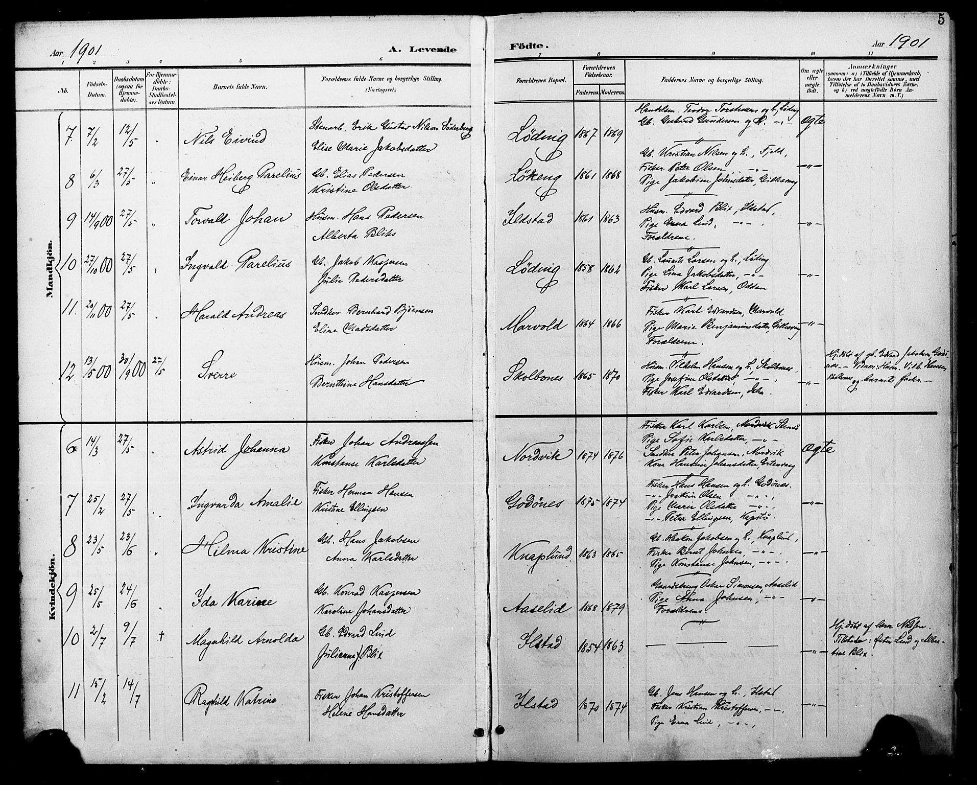 Ministerialprotokoller, klokkerbøker og fødselsregistre - Nordland, AV/SAT-A-1459/804/L0088: Parish register (copy) no. 804C01, 1901-1917, p. 5