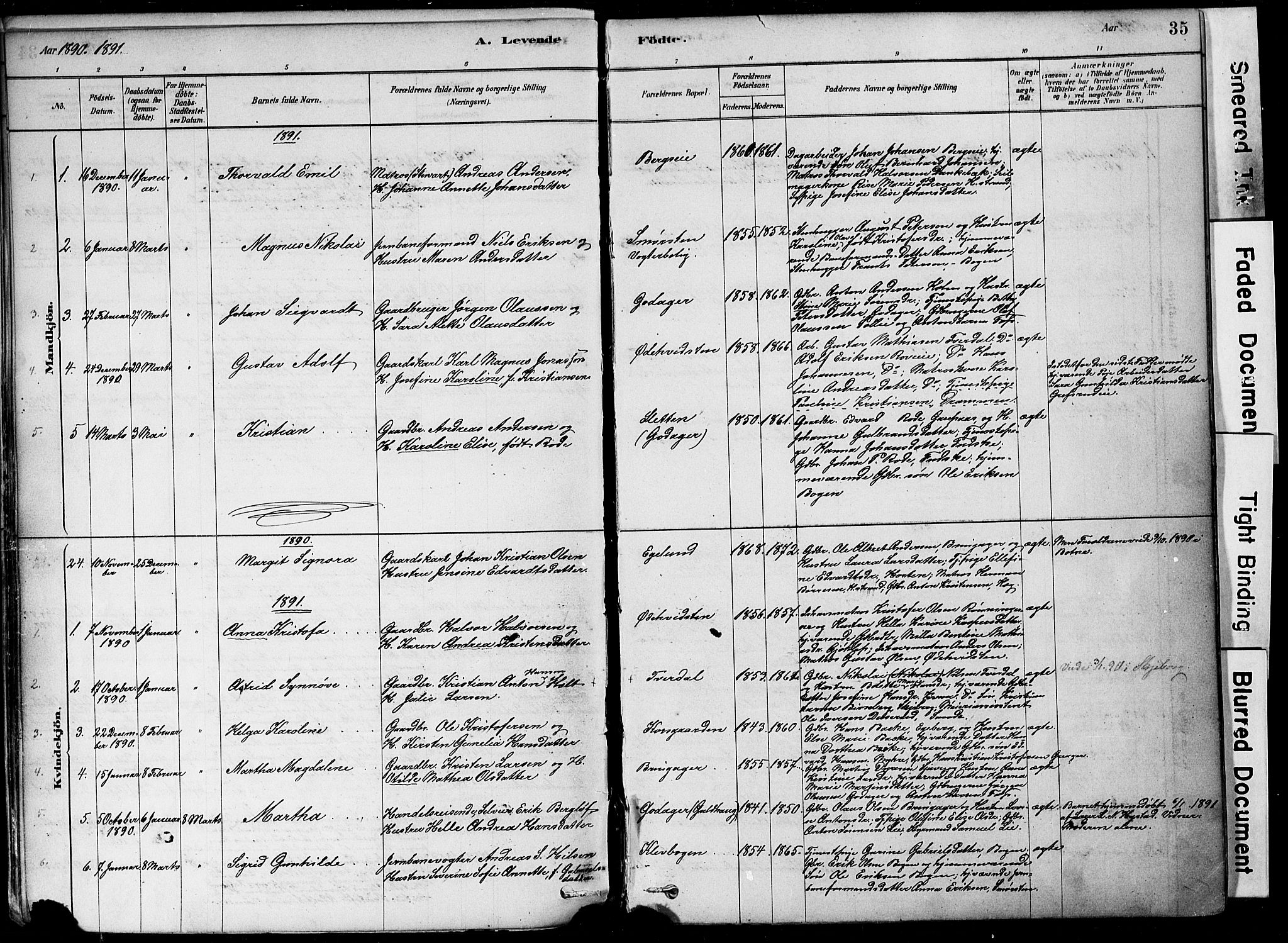 Botne kirkebøker, SAKO/A-340/F/Fa/L0007: Parish register (official) no. I 7, 1878-1910, p. 35
