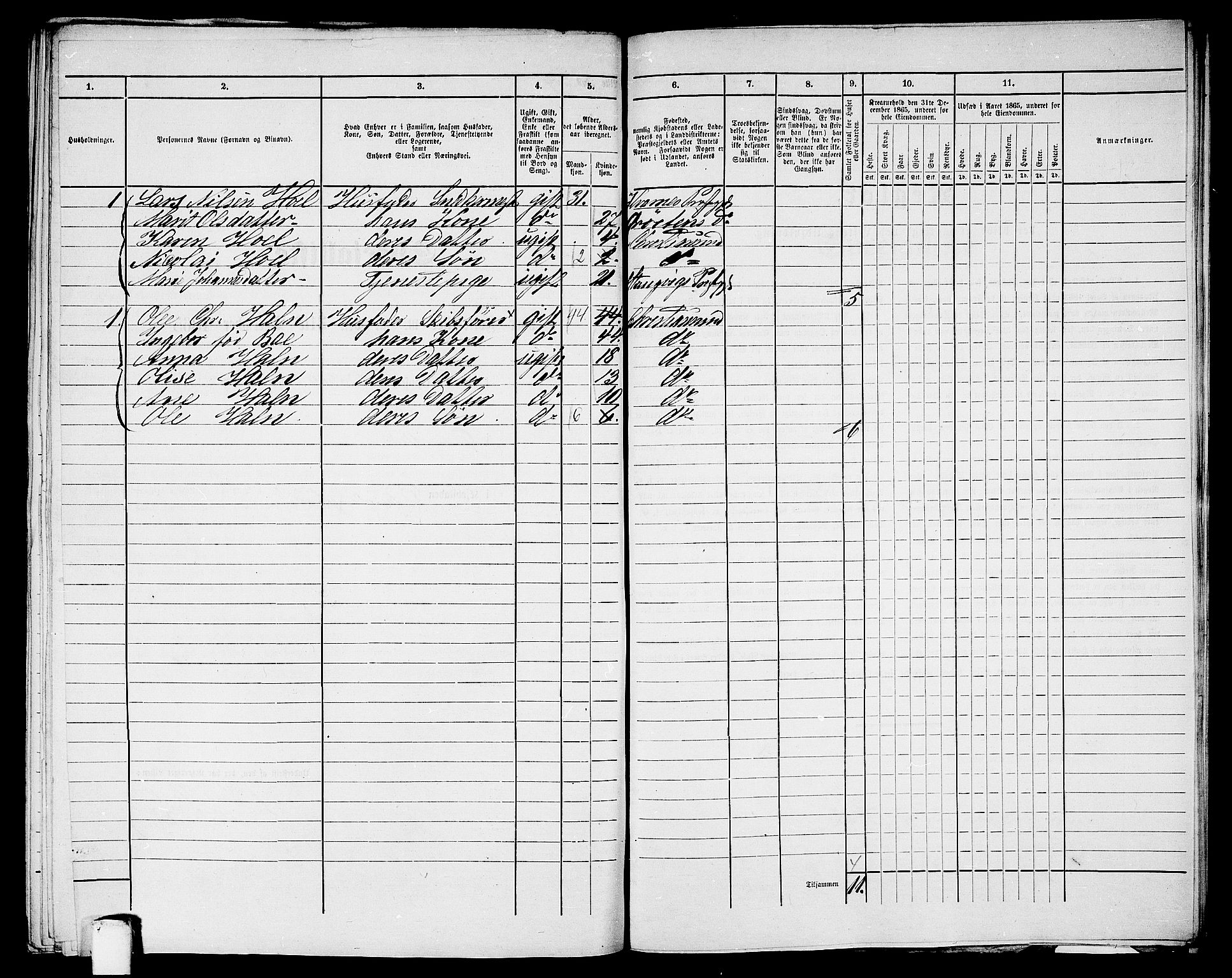 RA, 1865 census for Kristiansund/Kristiansund, 1865, p. 1056