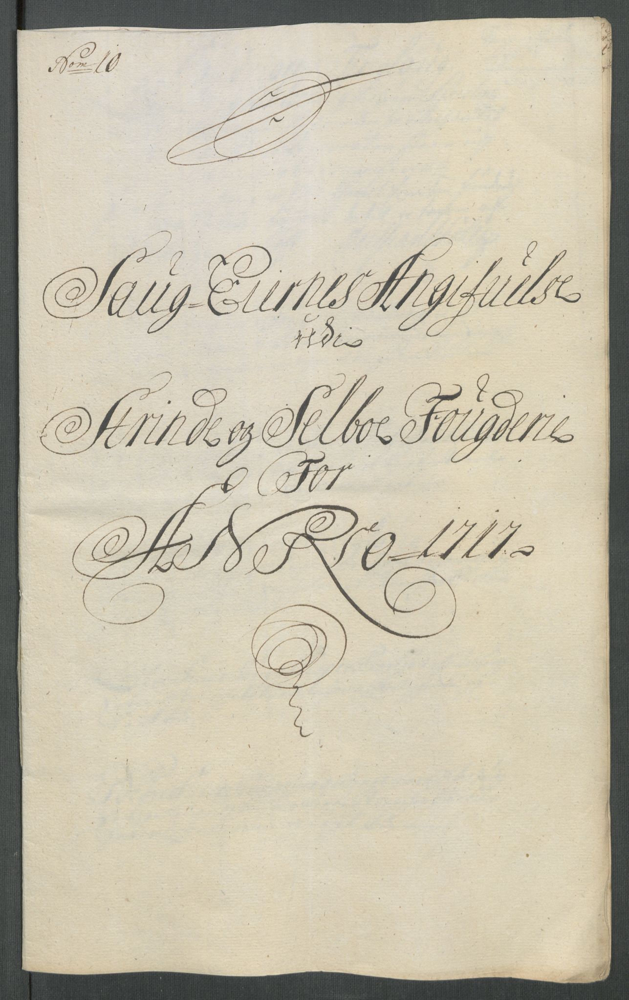 Rentekammeret inntil 1814, Reviderte regnskaper, Fogderegnskap, AV/RA-EA-4092/R61/L4116: Fogderegnskap Strinda og Selbu, 1717-1718, p. 117