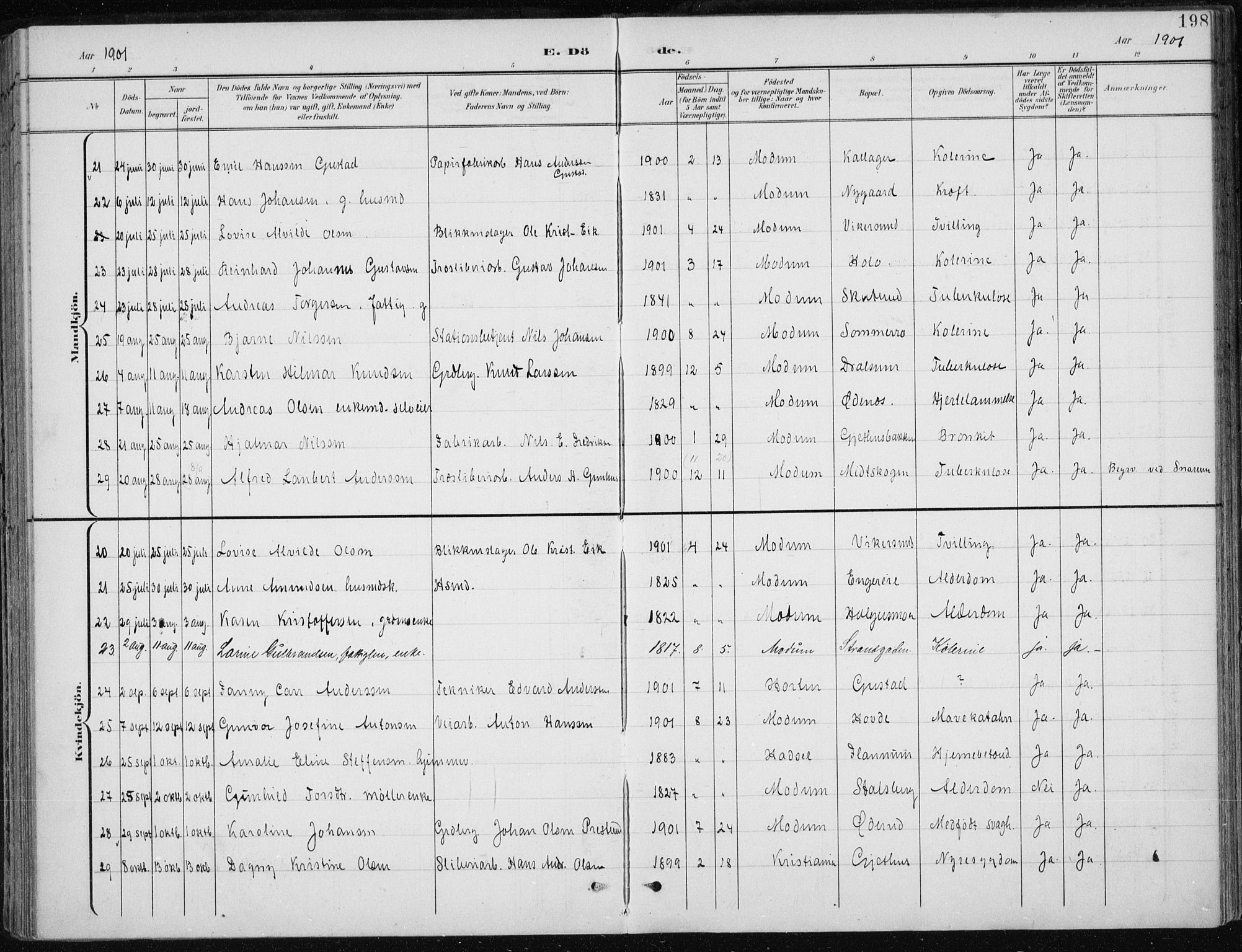 Modum kirkebøker, AV/SAKO-A-234/F/Fa/L0013: Parish register (official) no. 13, 1899-1907, p. 198