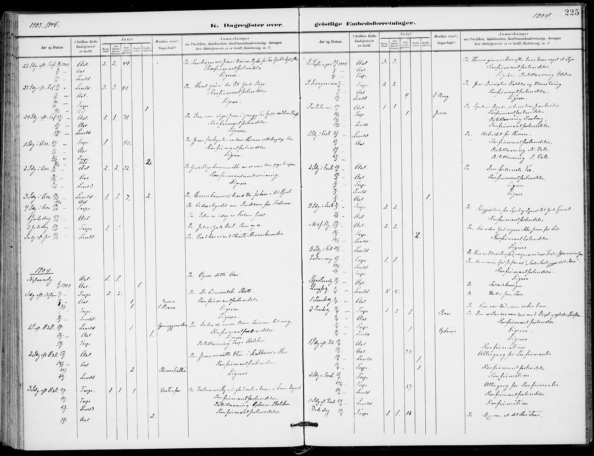 Ål kirkebøker, AV/SAKO-A-249/F/Fa/L0009: Parish register (official) no. I 9, 1897-1915, p. 225