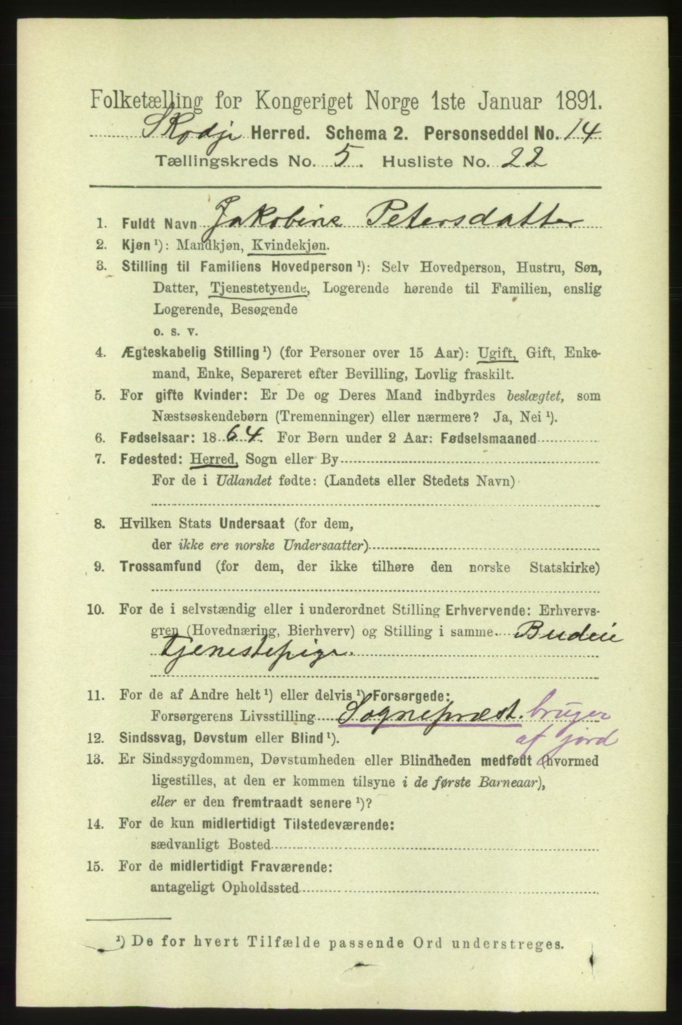 RA, 1891 census for 1529 Skodje, 1891, p. 960