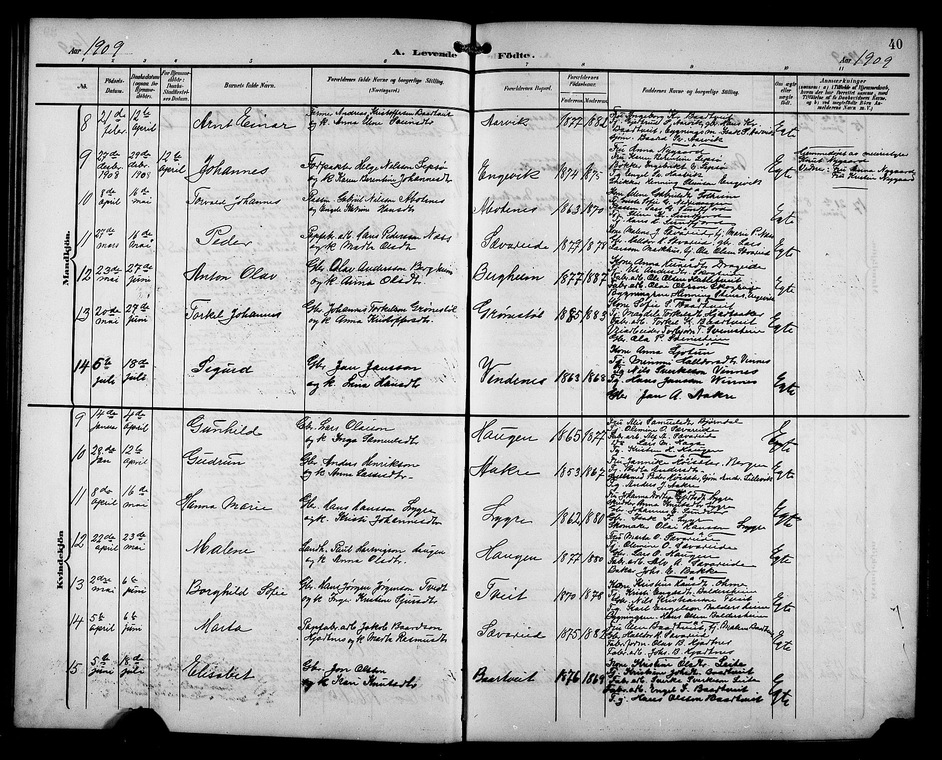 Fusa sokneprestembete, SAB/A-75401/H/Hab: Parish register (copy) no. C 3, 1903-1920, p. 40