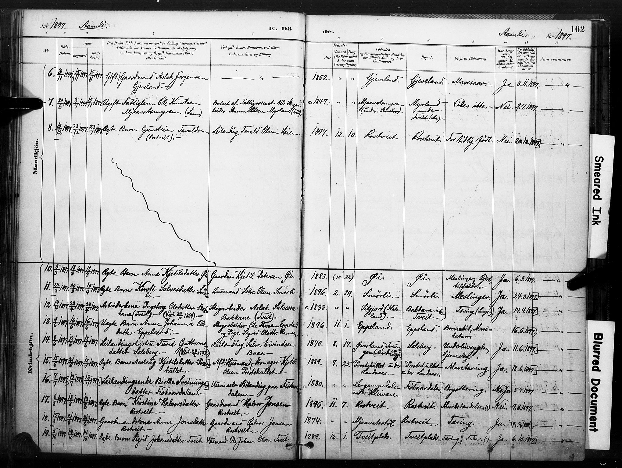 Åmli sokneprestkontor, AV/SAK-1111-0050/F/Fa/Fac/L0010: Parish register (official) no. A 10 /1, 1885-1899, p. 162