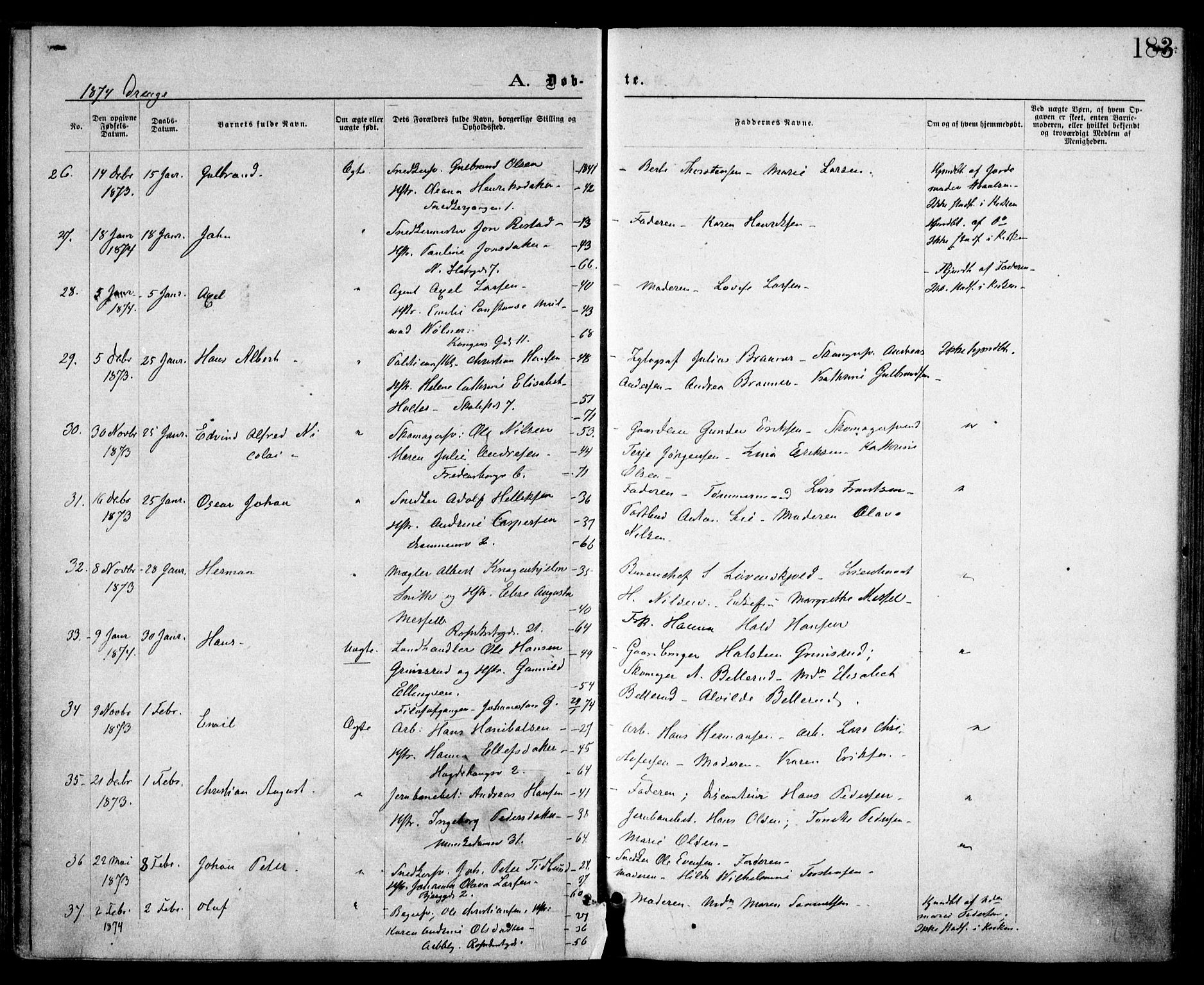 Trefoldighet prestekontor Kirkebøker, AV/SAO-A-10882/F/Fa/L0003: Parish register (official) no. I 3, 1870-1876, p. 183