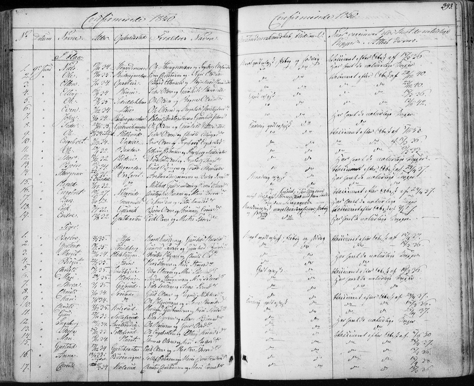 Nes kirkebøker, SAKO/A-236/F/Fa/L0009: Parish register (official) no. 9, 1834-1863, p. 393