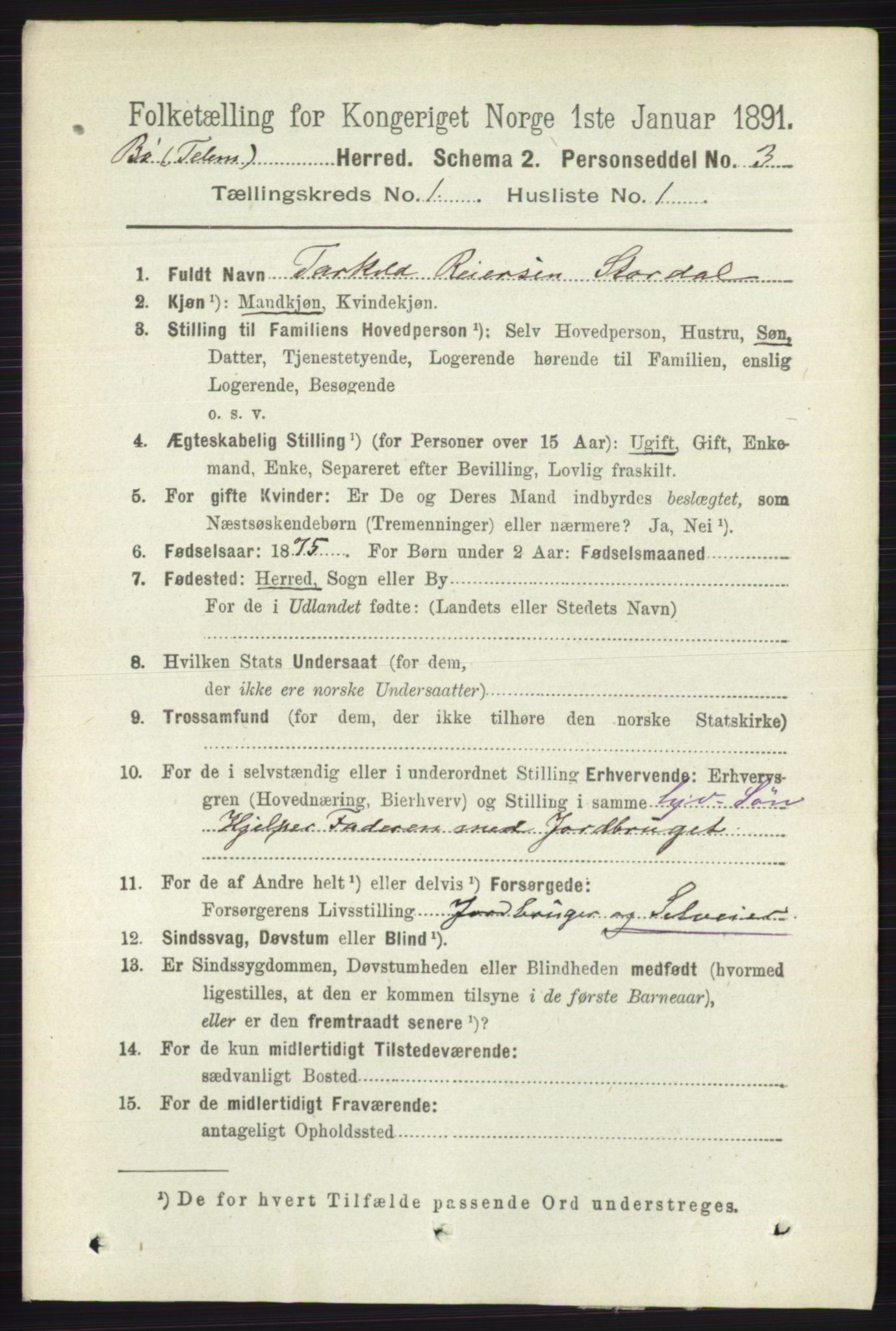 RA, 1891 census for 0821 Bø, 1891, p. 124