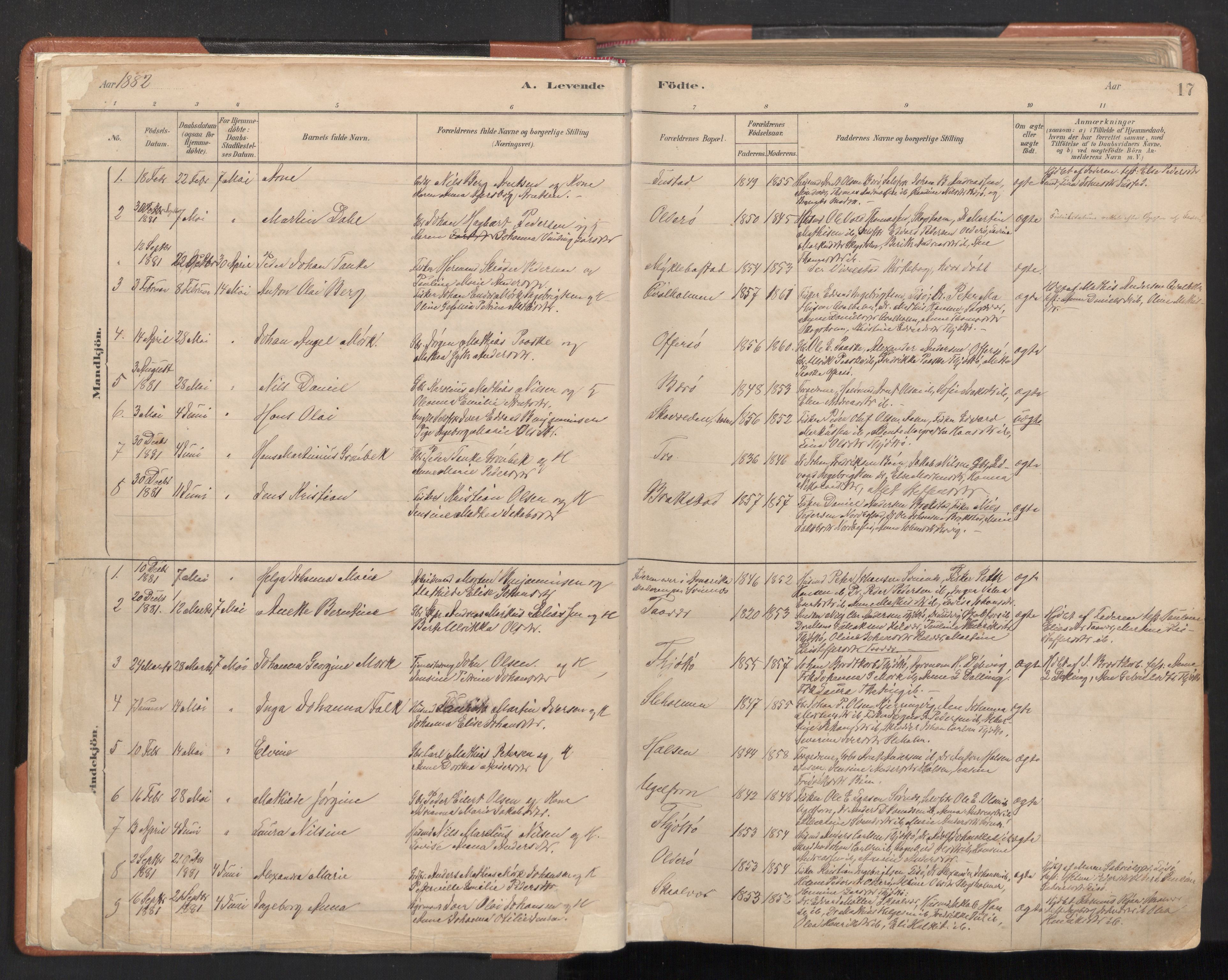 Ministerialprotokoller, klokkerbøker og fødselsregistre - Nordland, SAT/A-1459/817/L0264: Parish register (official) no. 817A04, 1878-1907, p. 17