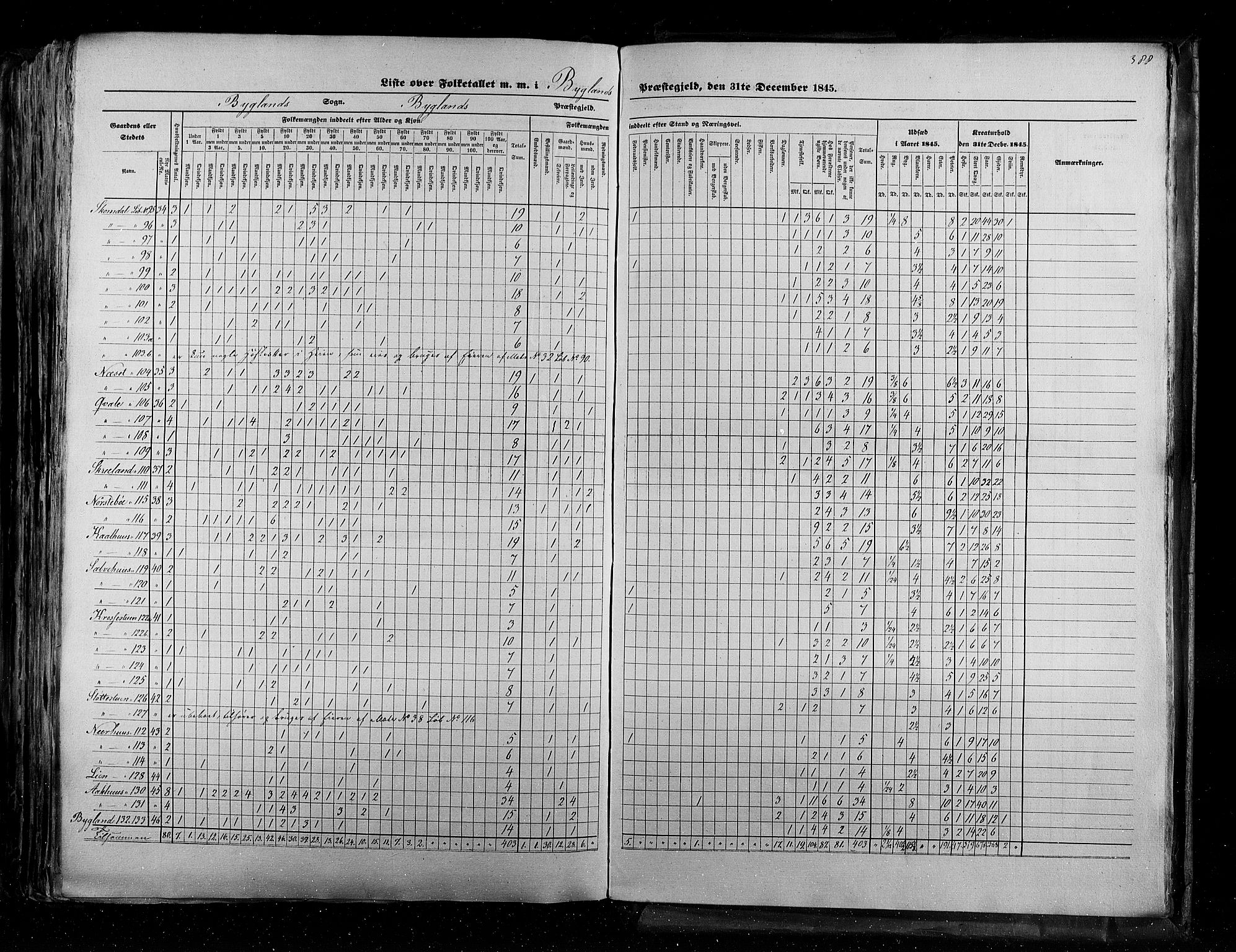 RA, Census 1845, vol. 5: Bratsberg amt og Nedenes og Råbyggelaget amt, 1845, p. 388