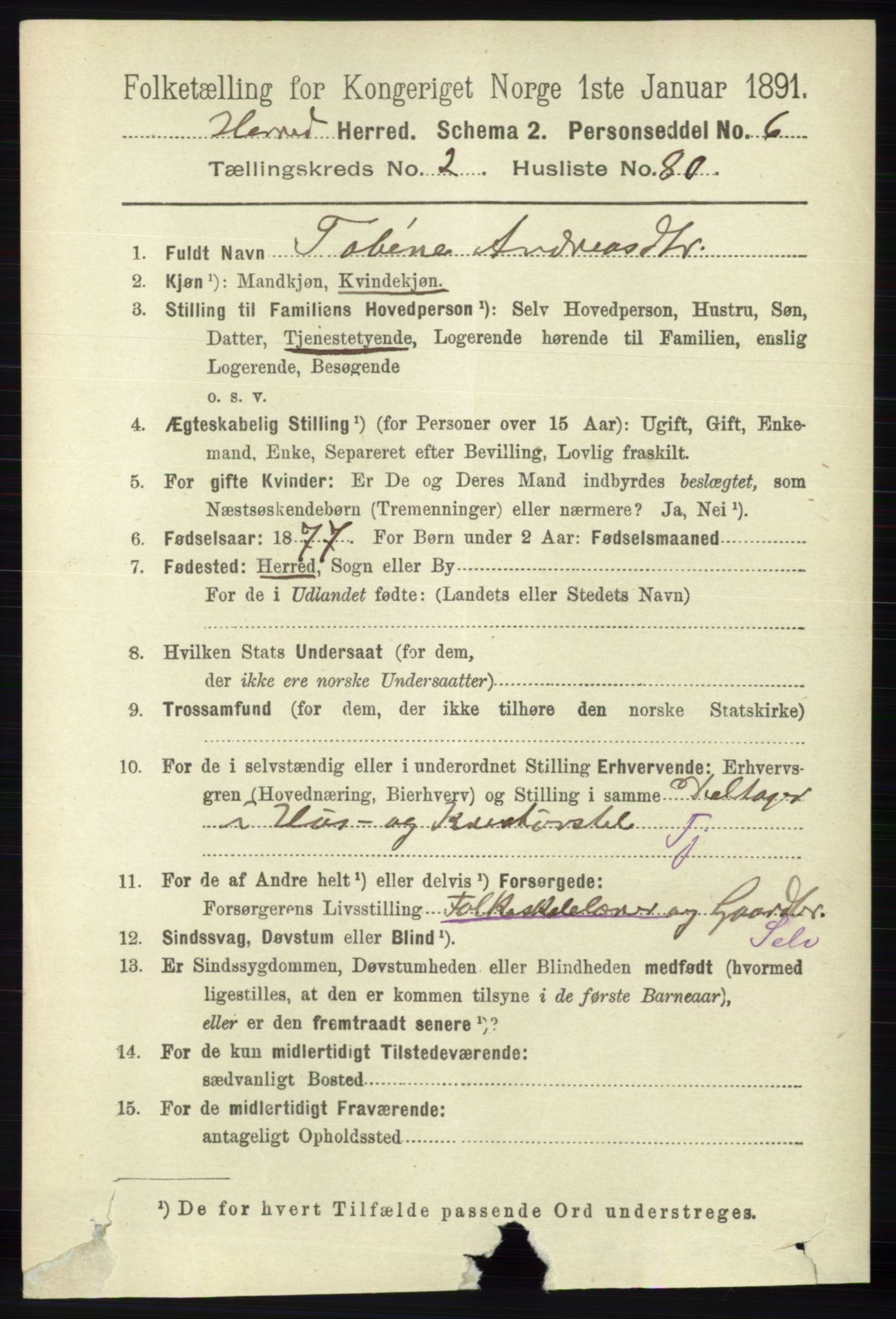 RA, 1891 census for 1039 Herad, 1891, p. 907