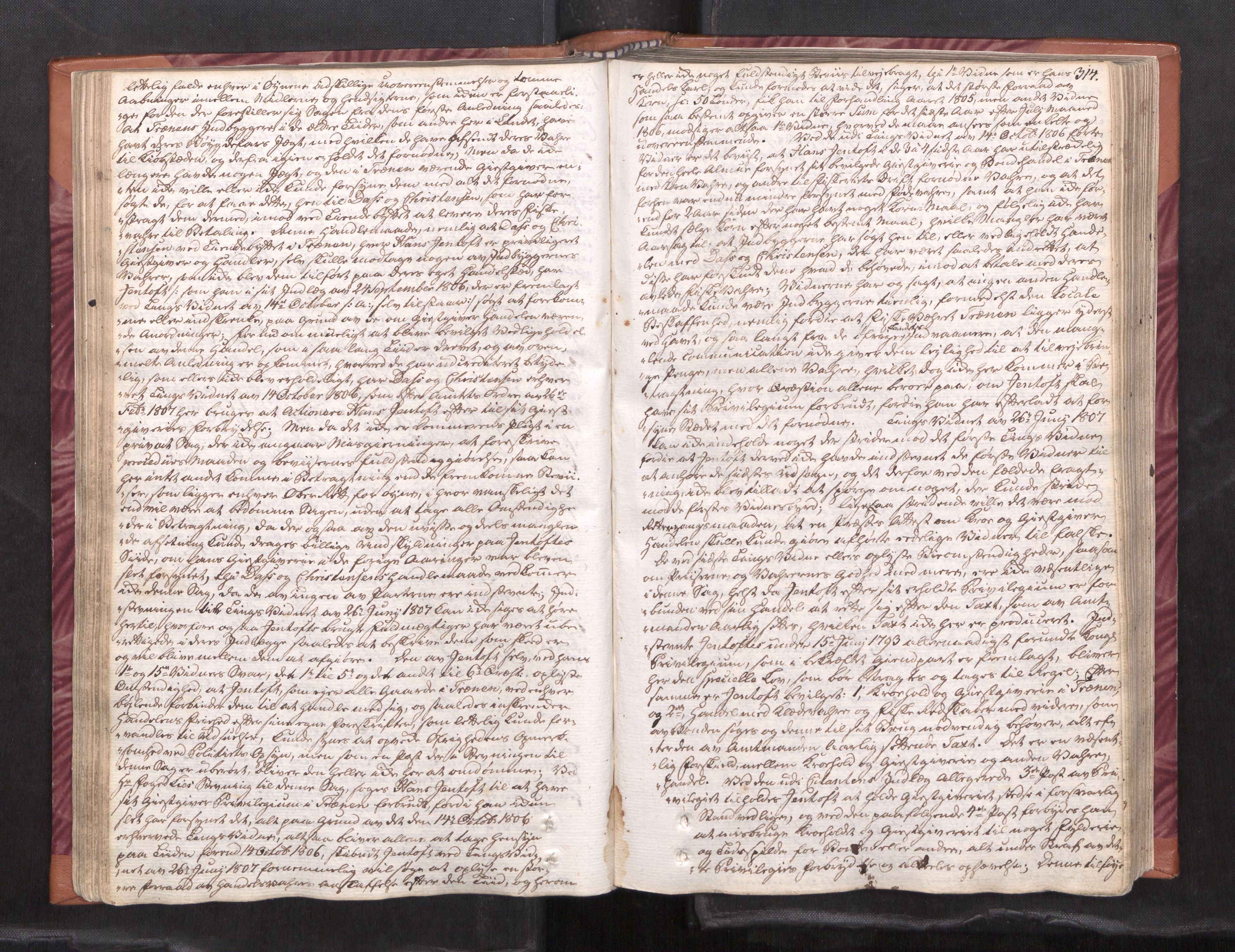 Helgeland sorenskriveri, AV/SAT-A-0004/1/1A/L0037: Tingbok 26B, 1806-1812, p. 313b-314a
