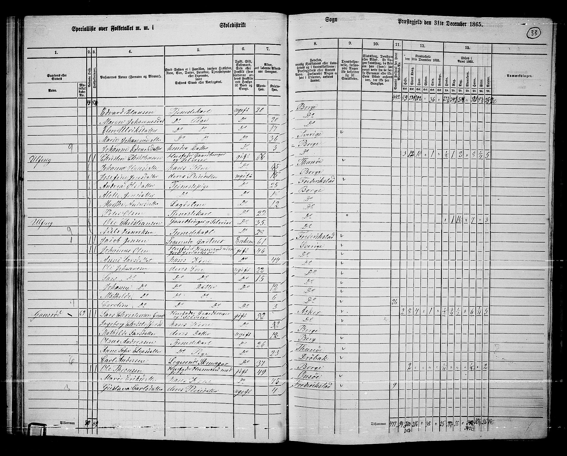 RA, 1865 census for Borge, 1865, p. 33