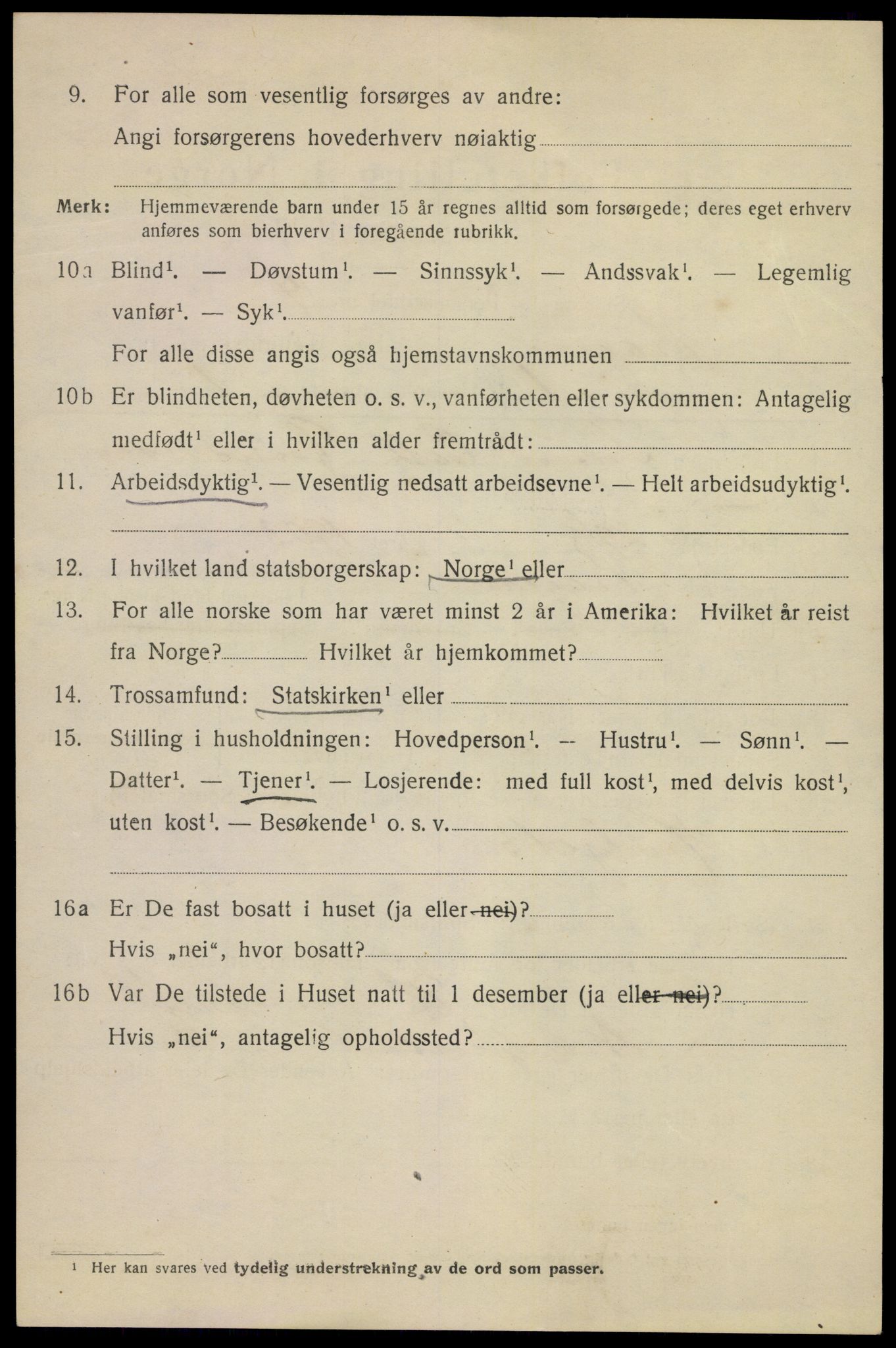 SAKO, 1920 census for Kragerø, 1920, p. 11070